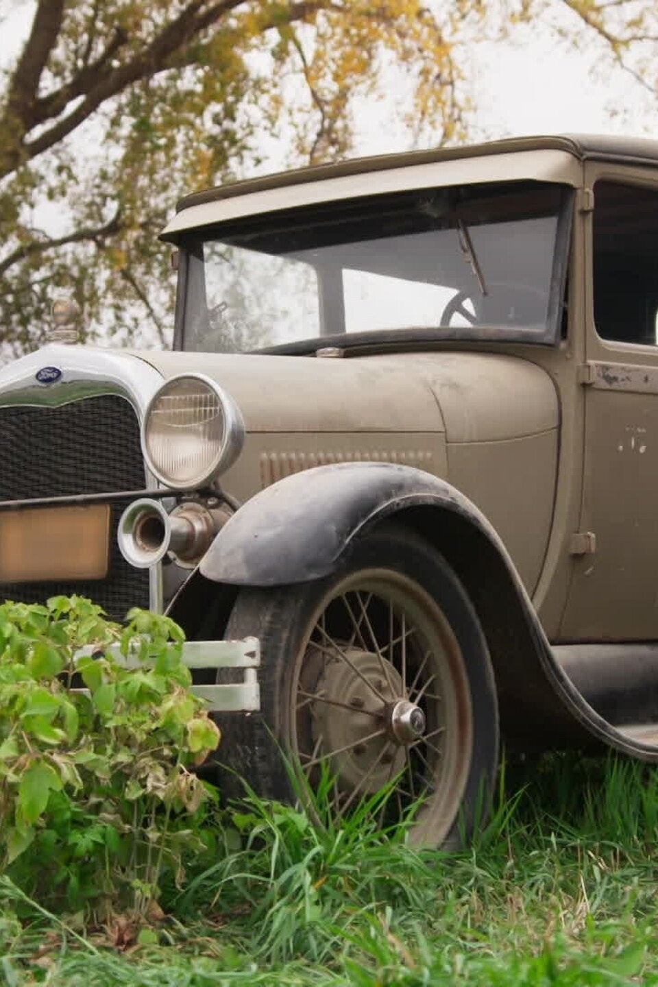 Zoo Poo Pictures Rotten Tomatoes