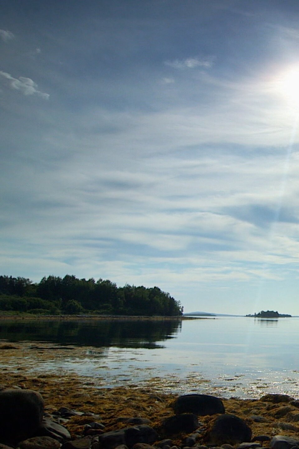 Wood You Believe It? Pictures Rotten Tomatoes