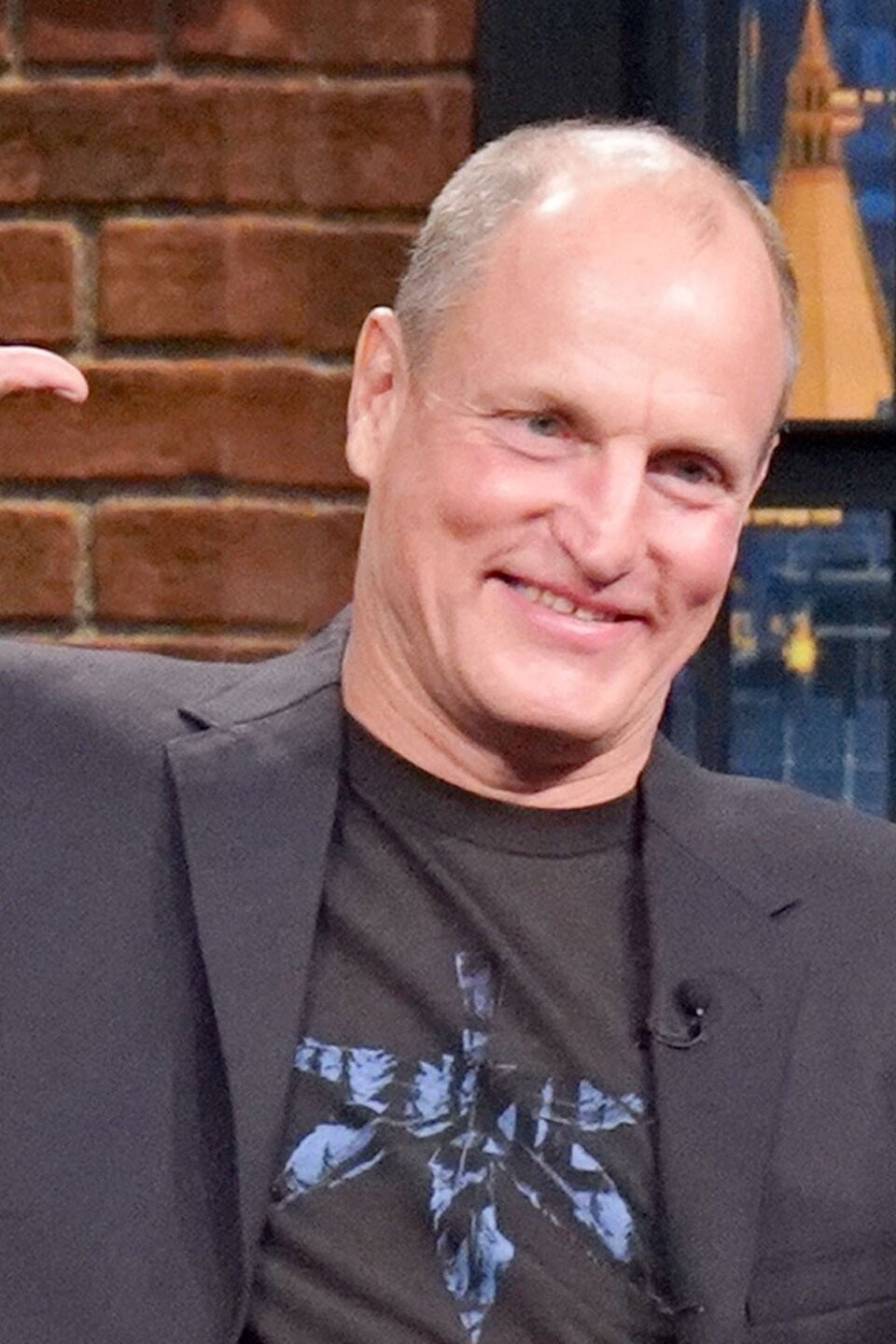 Woody Harrelson; Niall Horan; Atom Willard Pictures Rotten Tomatoes