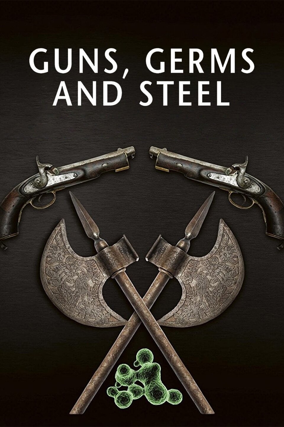 Review Guns germs and steel by Jared Diamond Everything Is Better