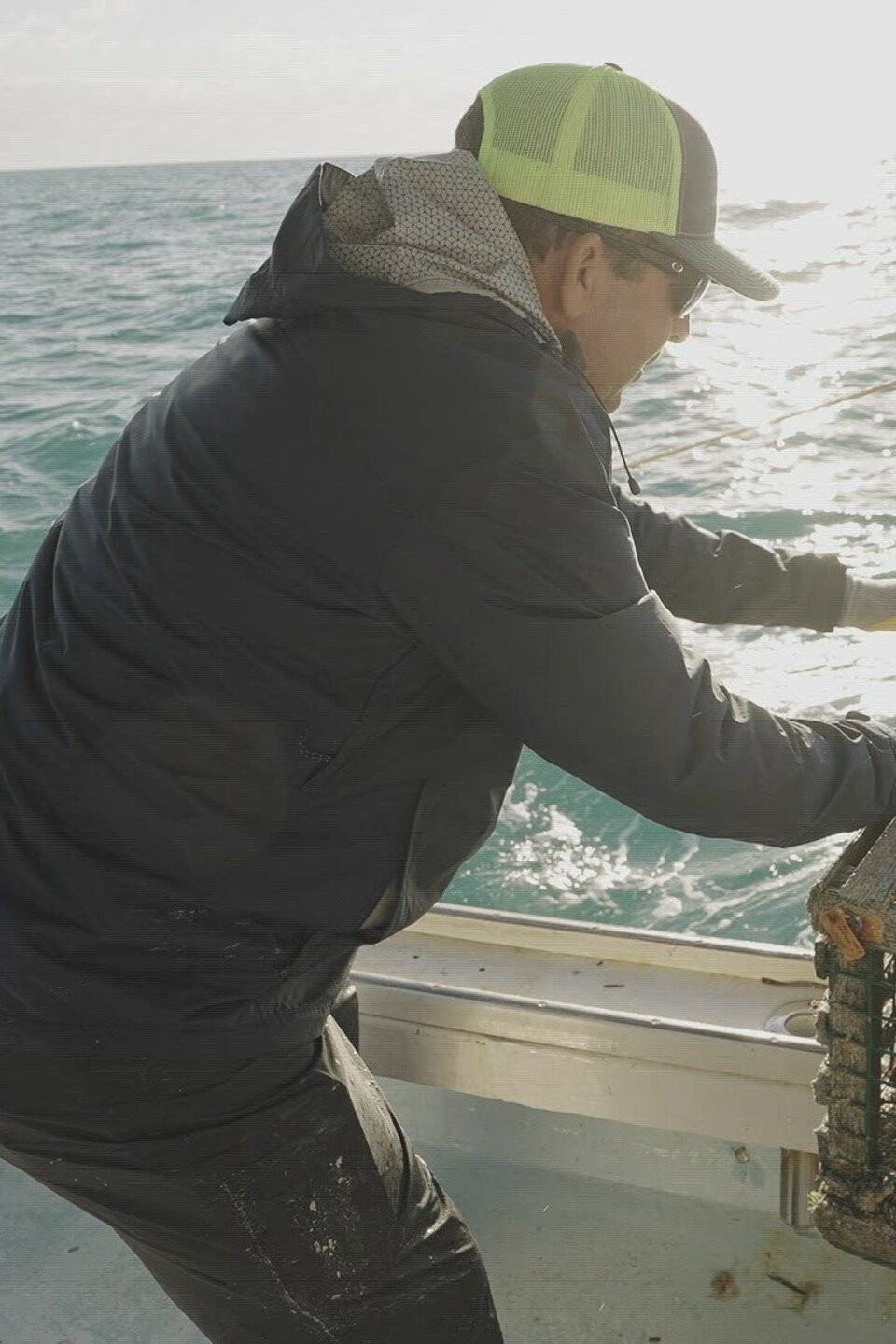 Lobster Loco Pictures Rotten Tomatoes