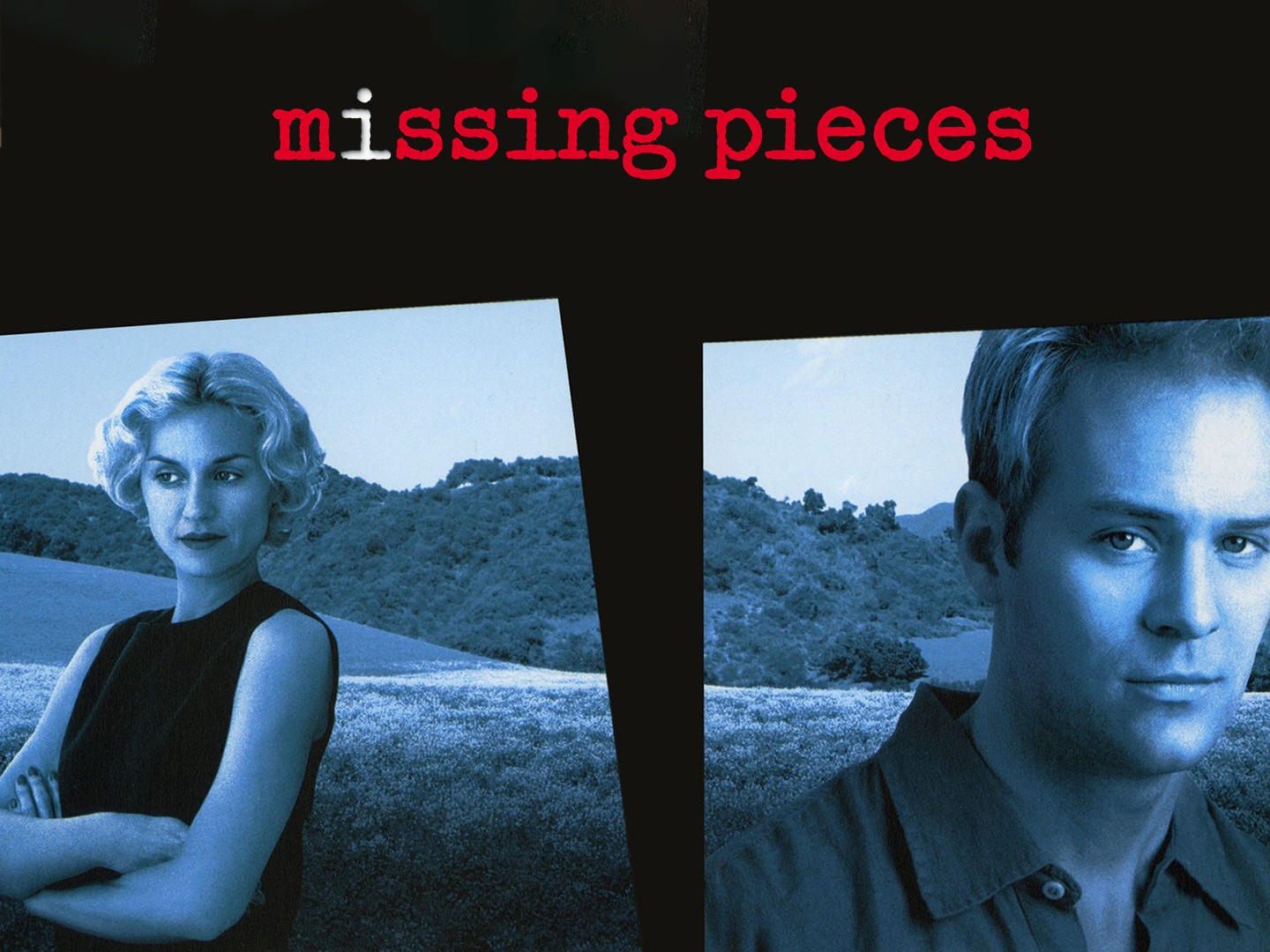 The Missing Pieces