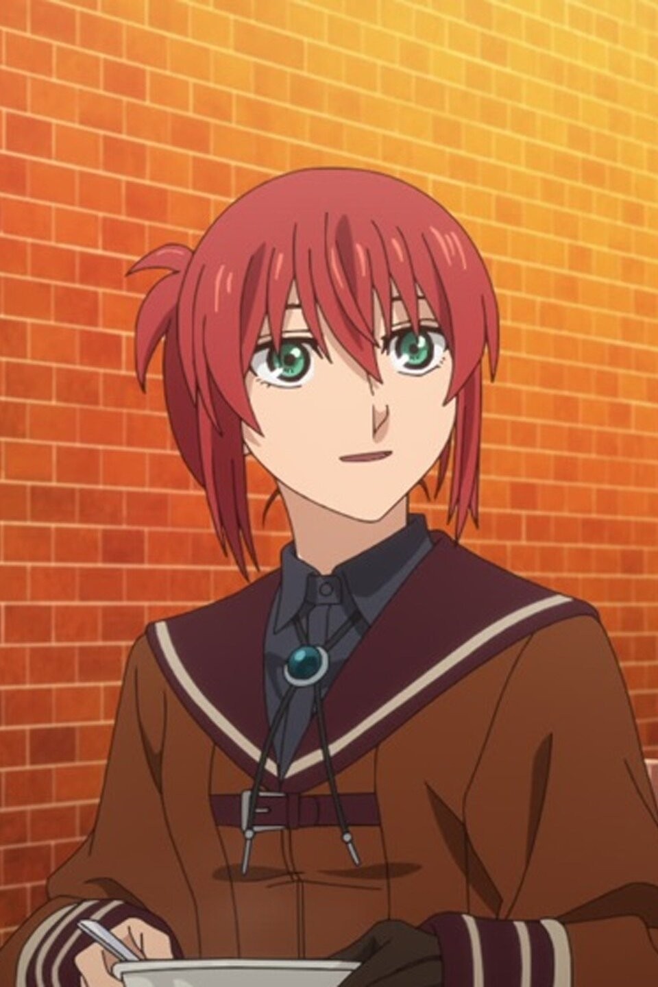 The Ancient Magus' Bride (TV) - Anime News Network