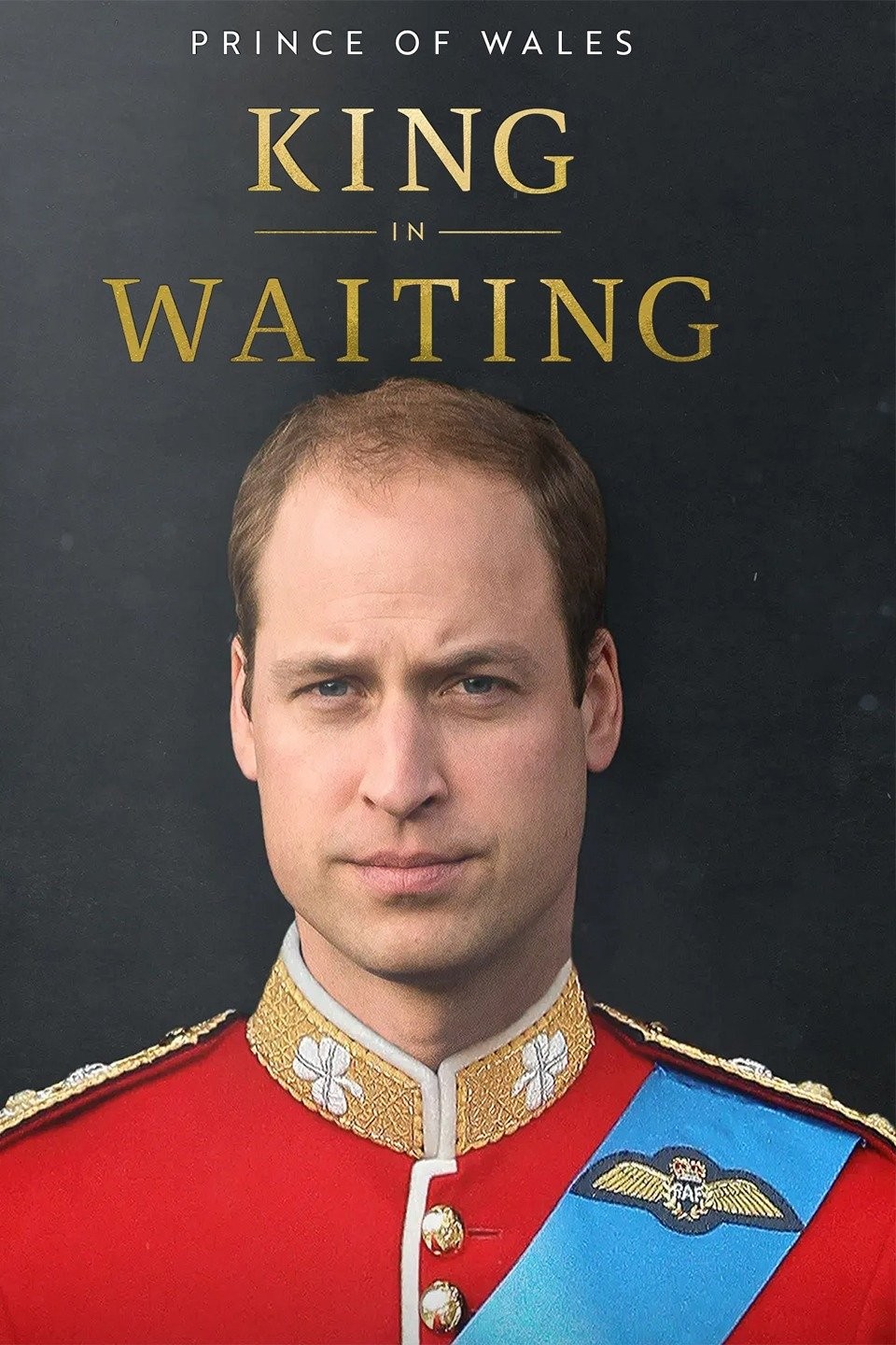 Prince of Wales: King in Waiting | Rotten Tomatoes