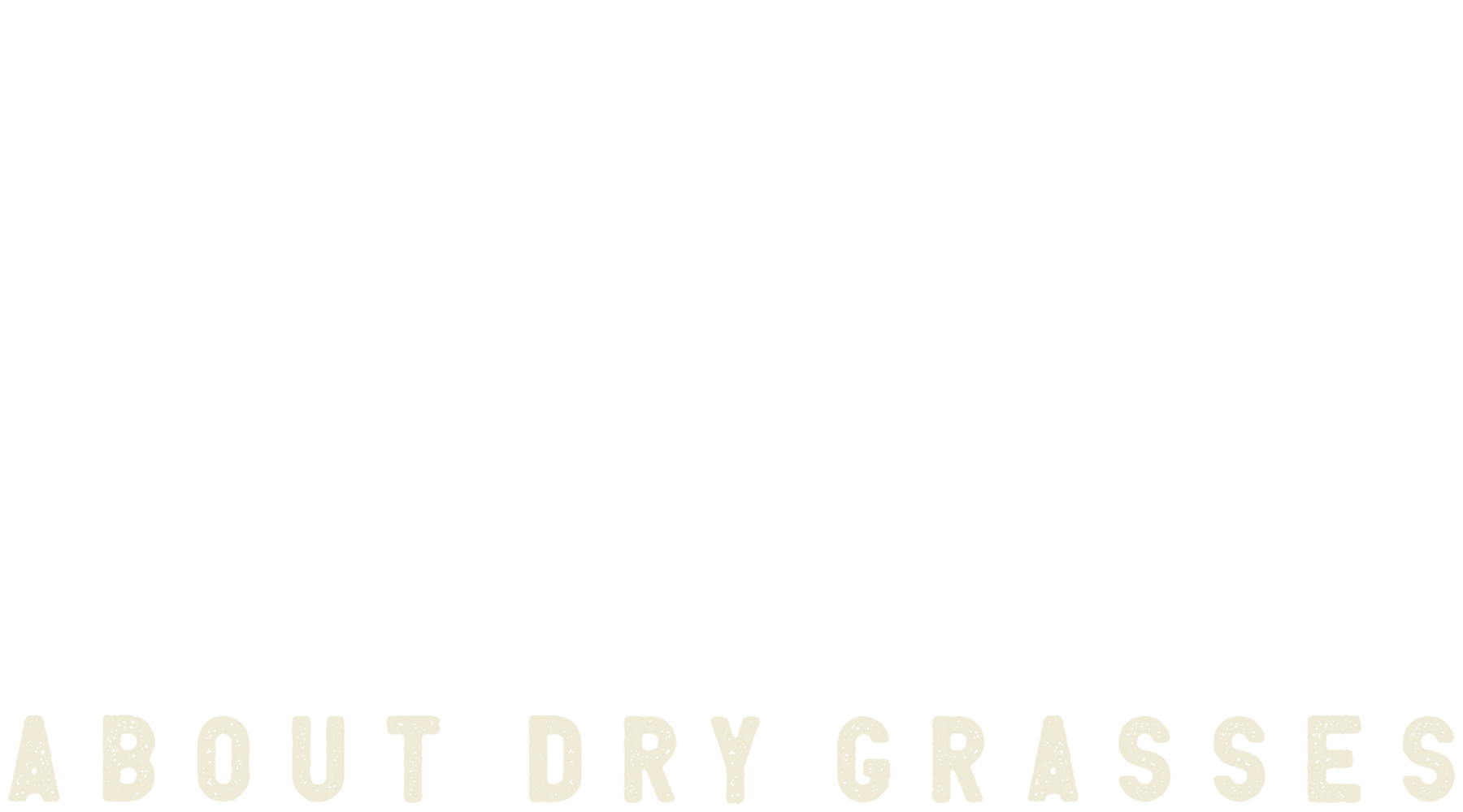About Dry Grasses (2024) Logo