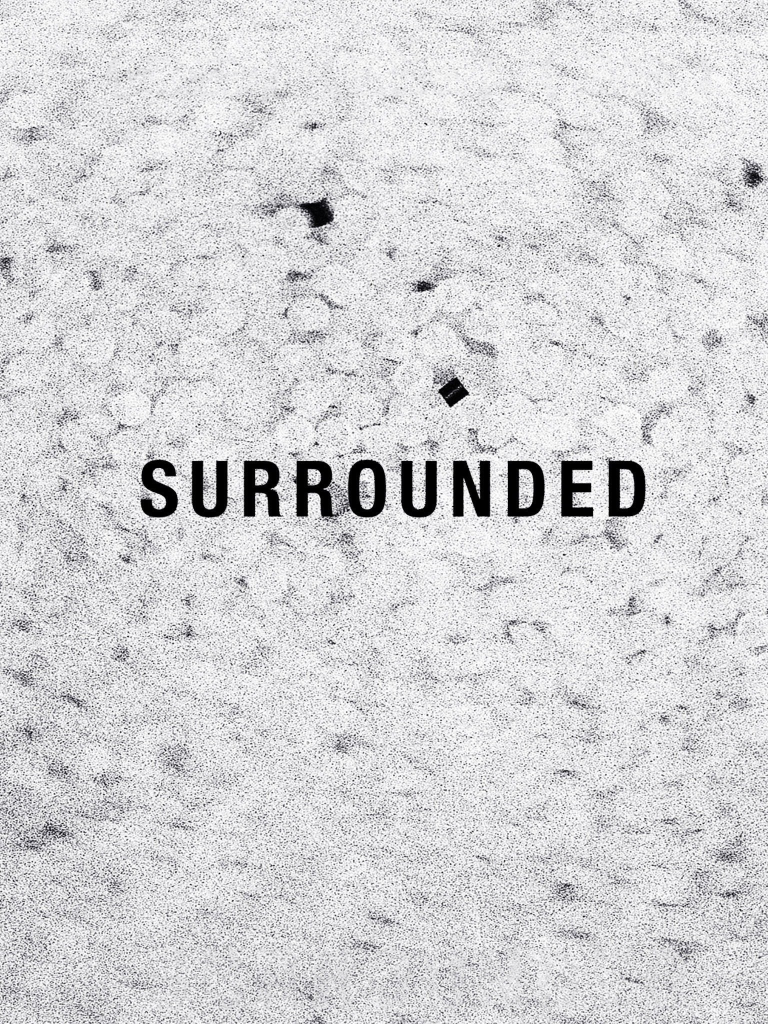 Surmound Surrounded | Rotten Tomatoes