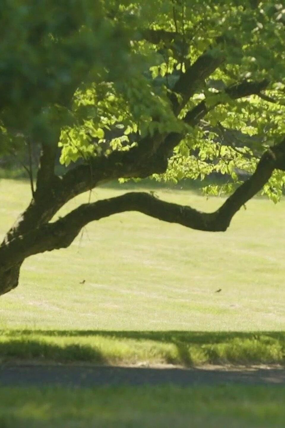 Choose New Jersey Pictures Rotten Tomatoes