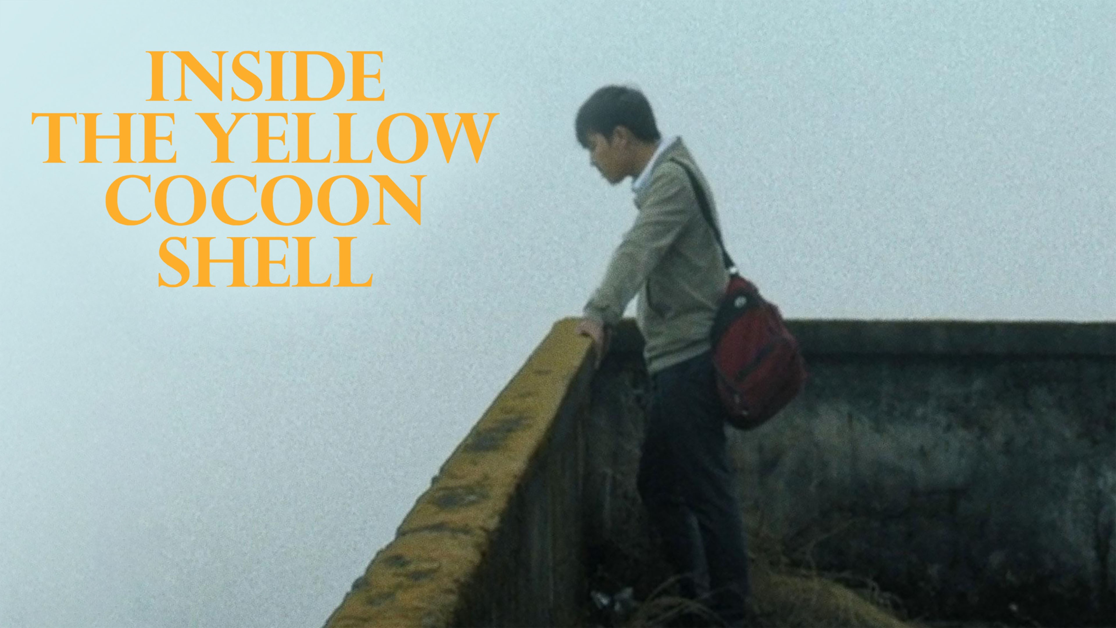 Inside the Yellow Cocoon Shell Rotten Tomatoes