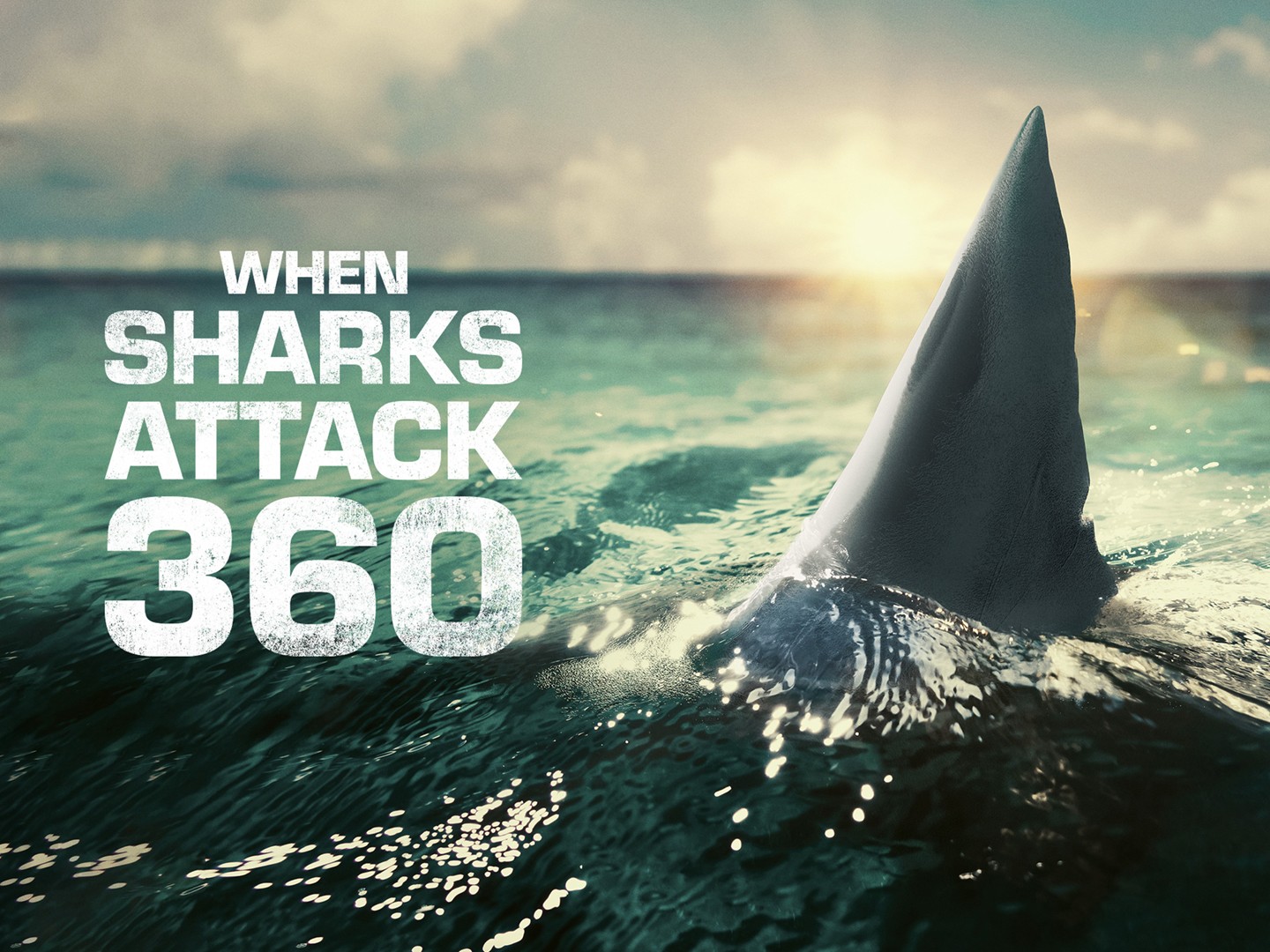 When Sharks Attack 360 (TV Series 2023– ) - IMDb