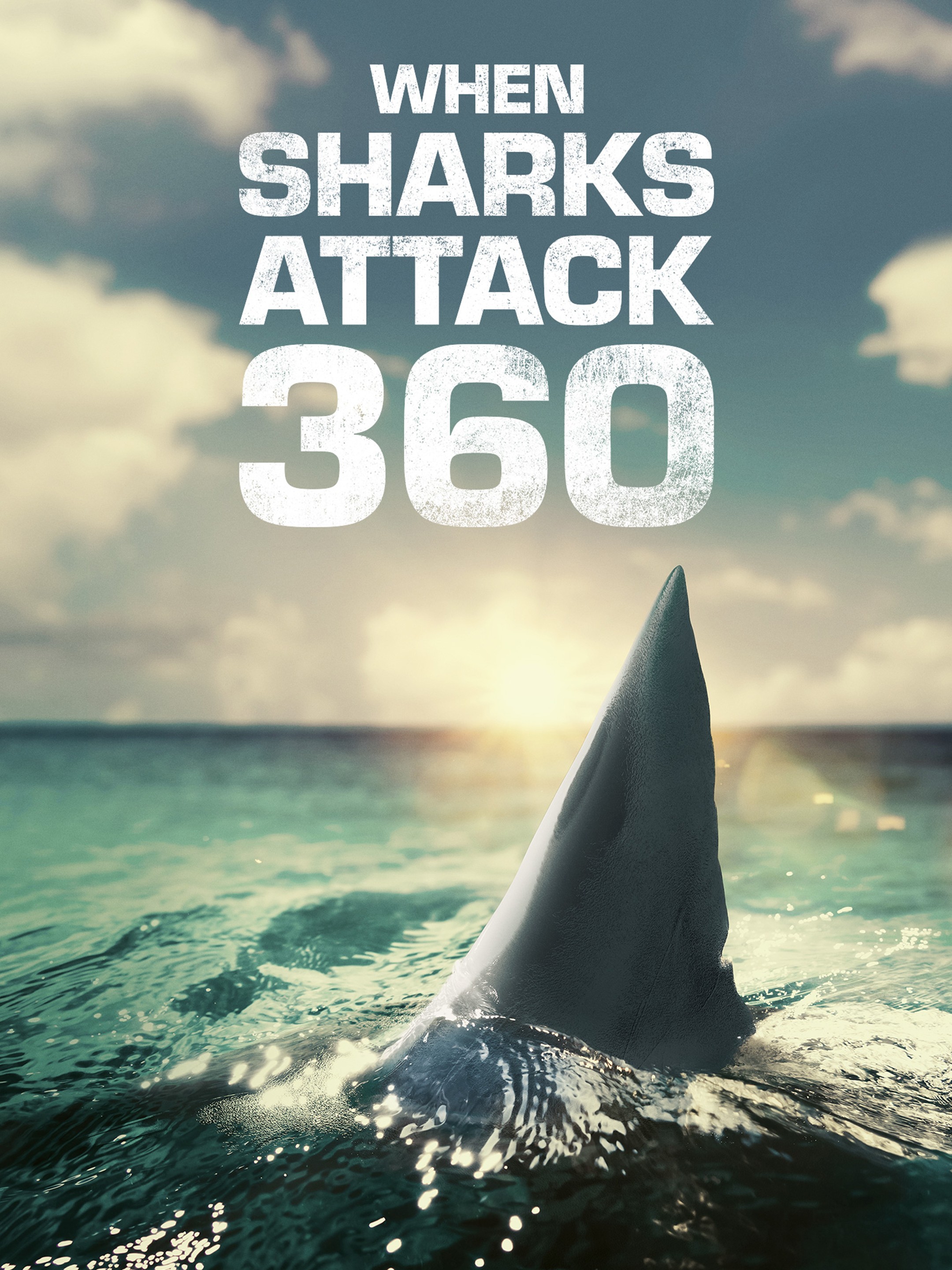 When Sharks Attack 360 Season 1
