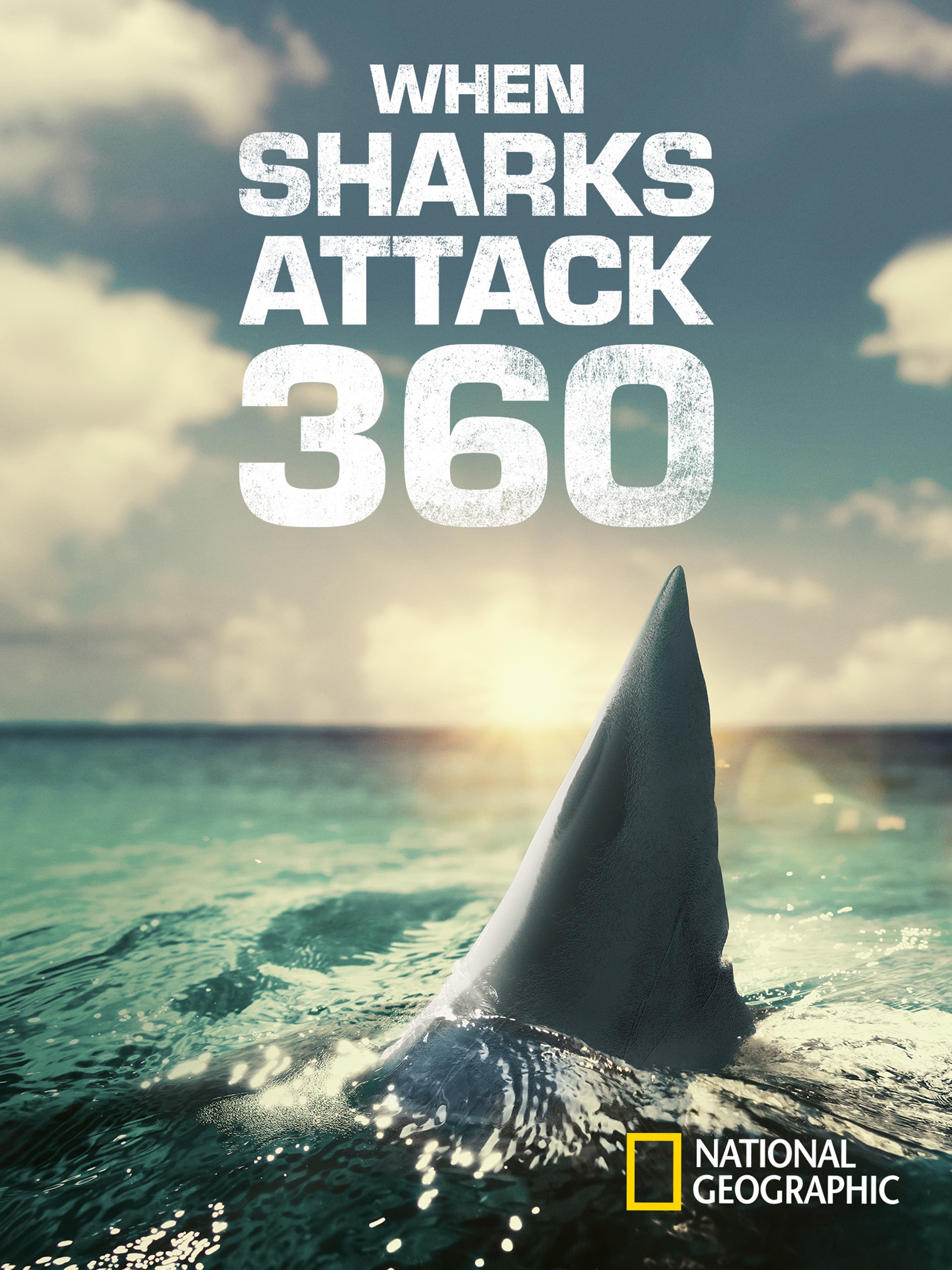 Review: Shark Attack!