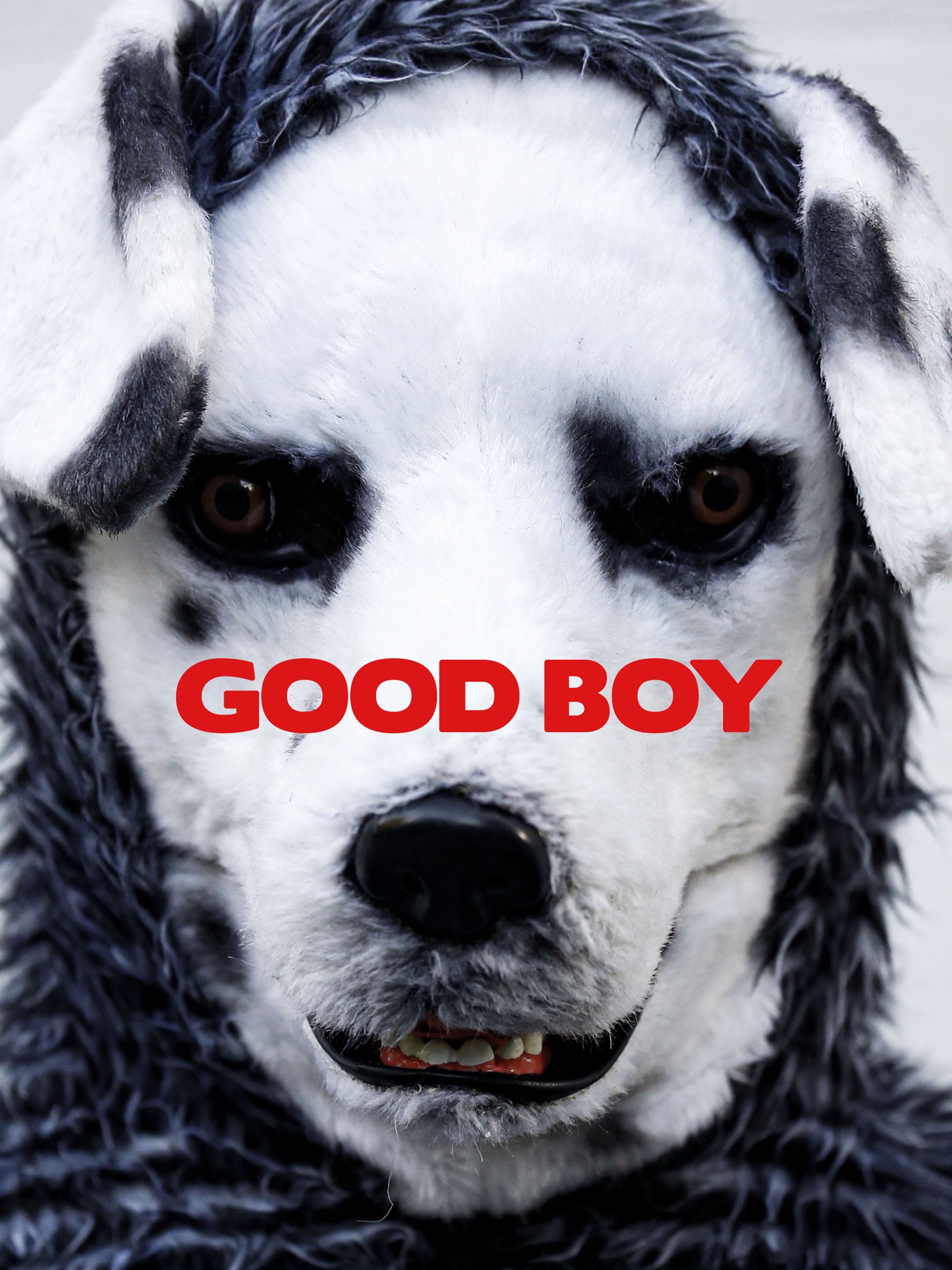 Stream good boys discount movie