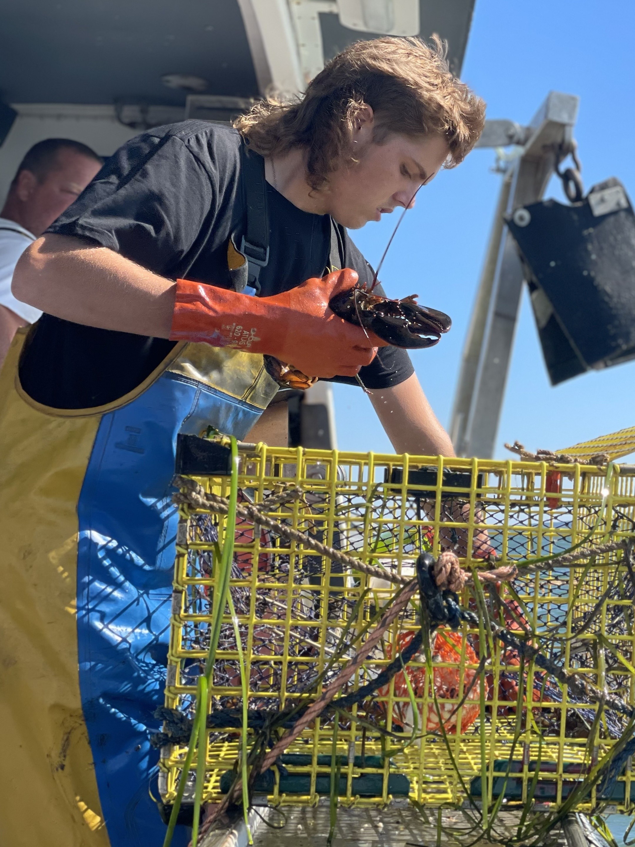 Tides of a Revolution The Battle of Machias Bay Pictures Rotten