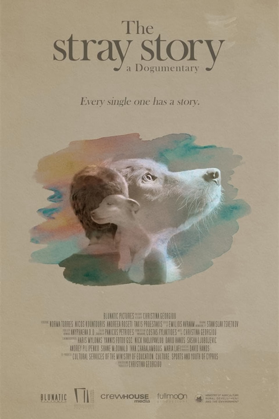 The Stray Story: A Dogumentary Pictures | Rotten Tomatoes