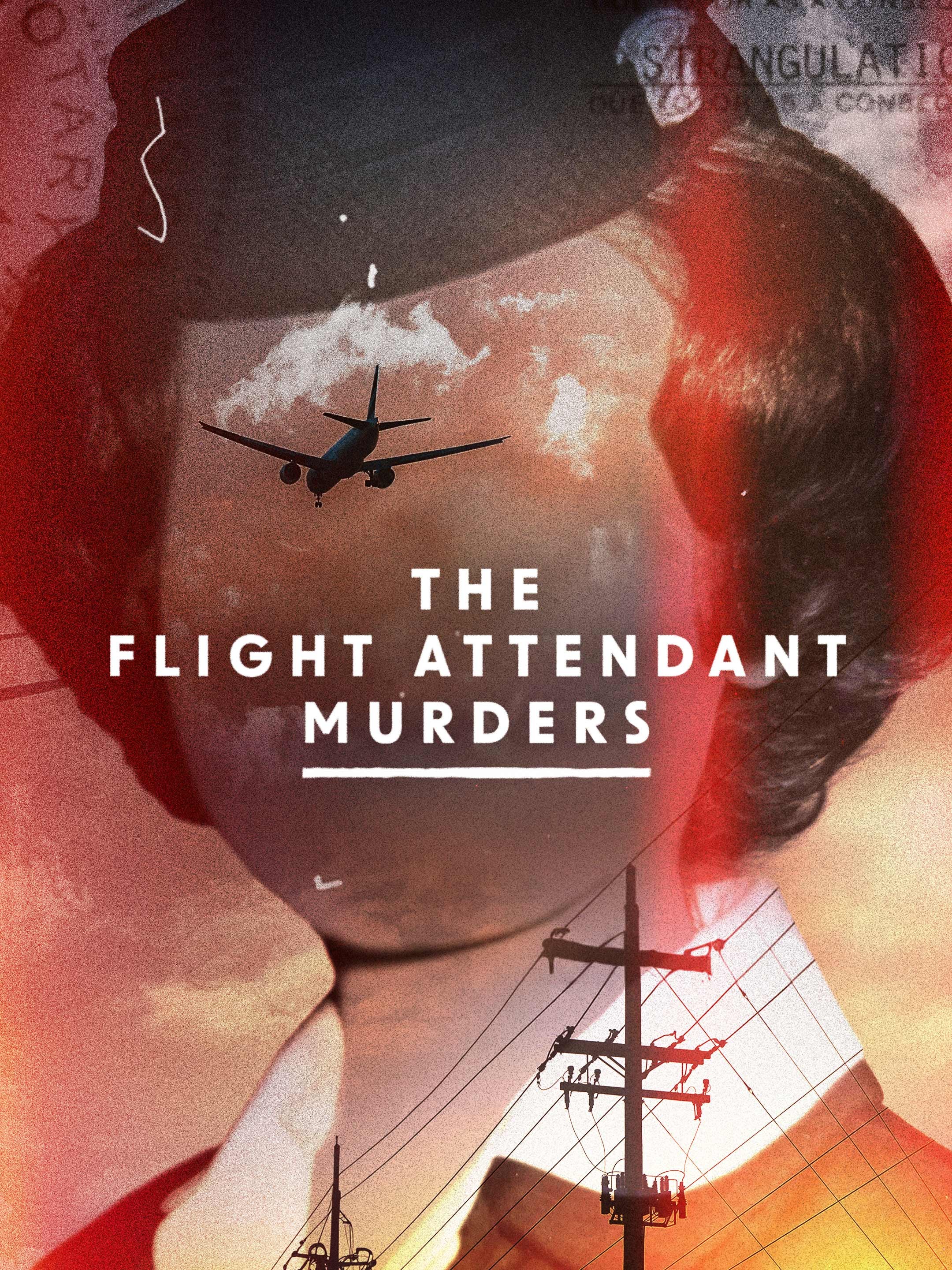 The Flight Attendant Murders Season 1 | Rotten Tomatoes