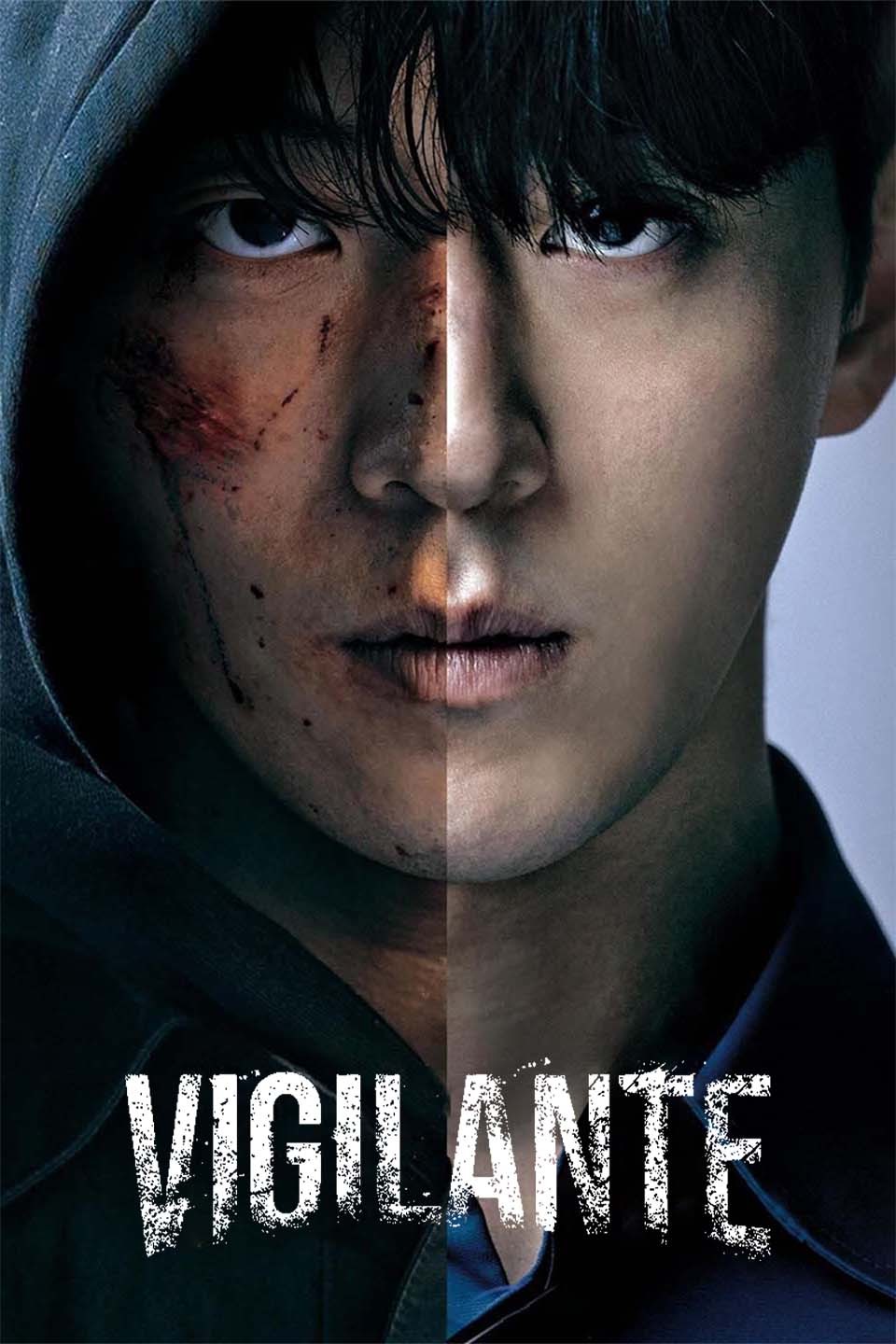 Vigilante (Season 1) Dual English-Korean Esub WeB-DL 720p | 1080p Download