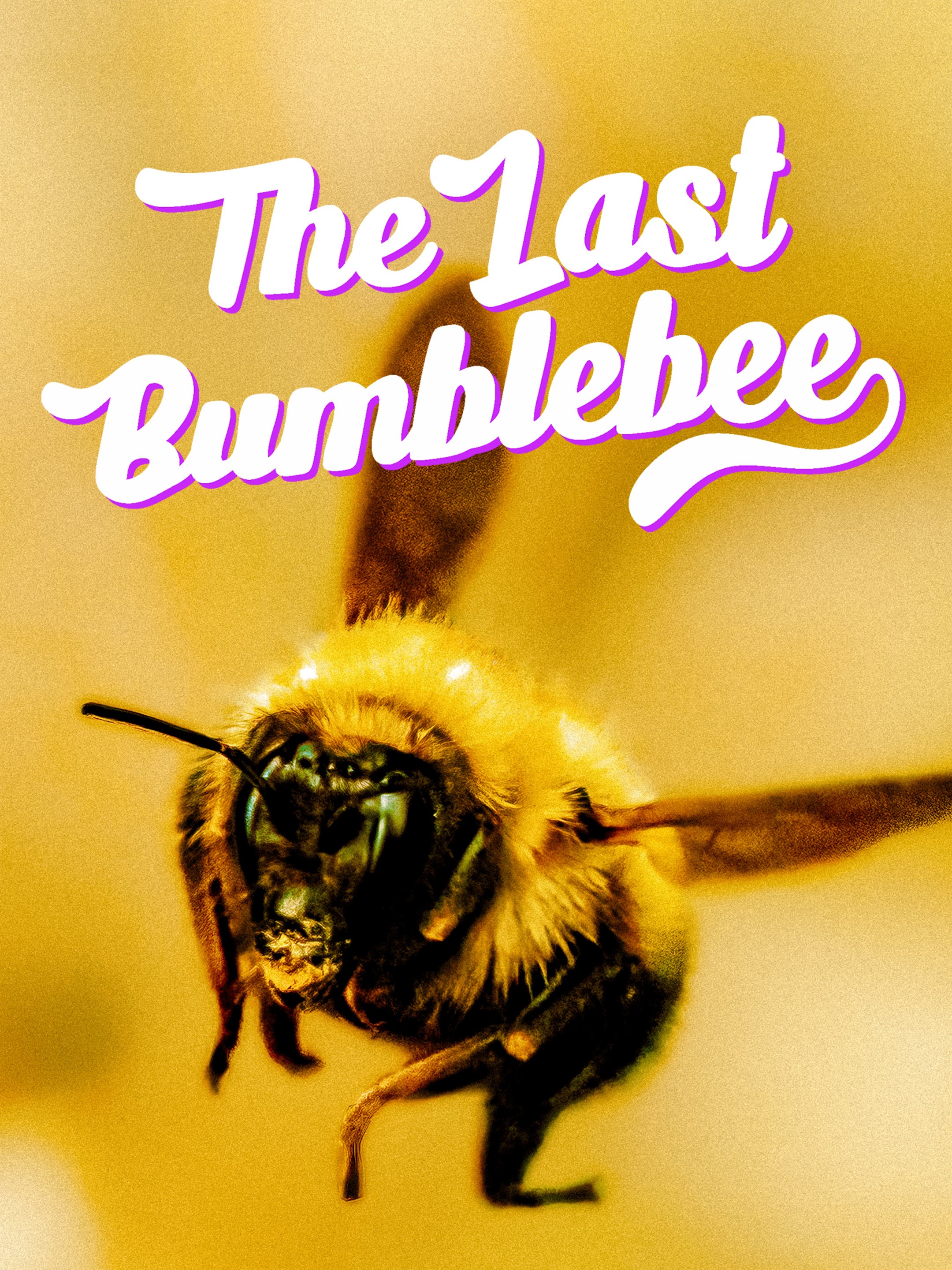 The Last Bumblebee Rotten Tomatoes