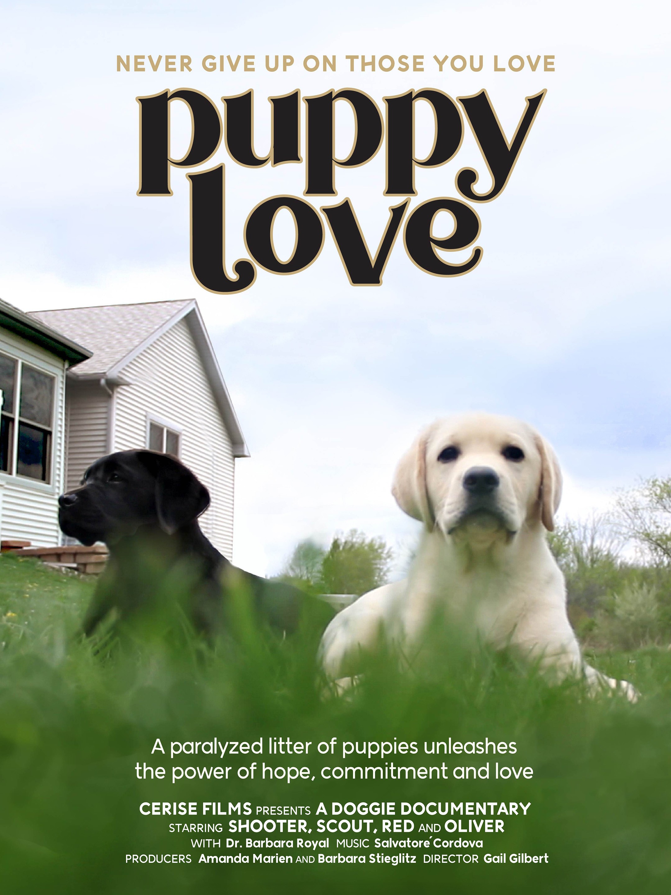 Puppy Love Rotten Tomatoes