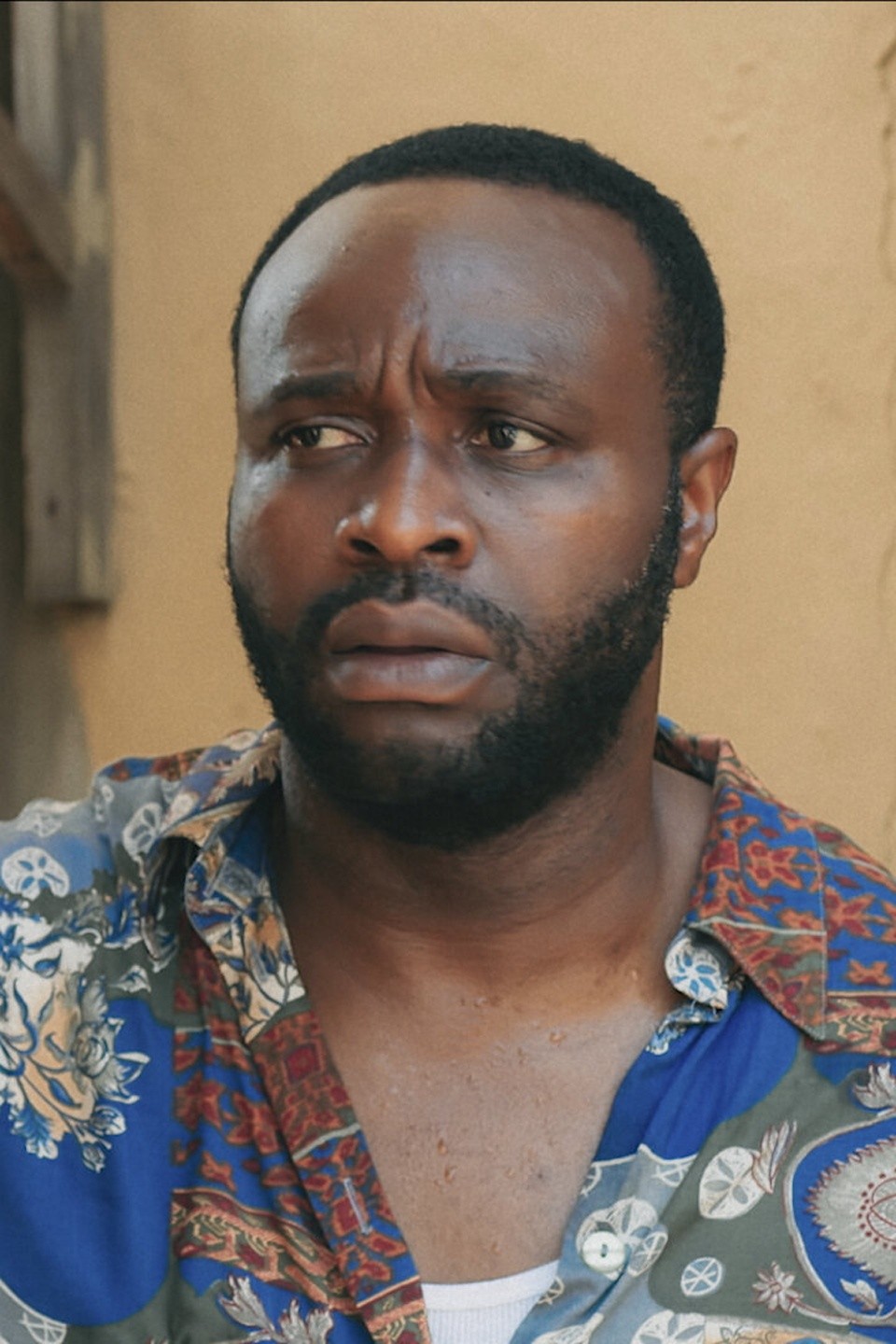 Bank Alert Pictures Rotten Tomatoes