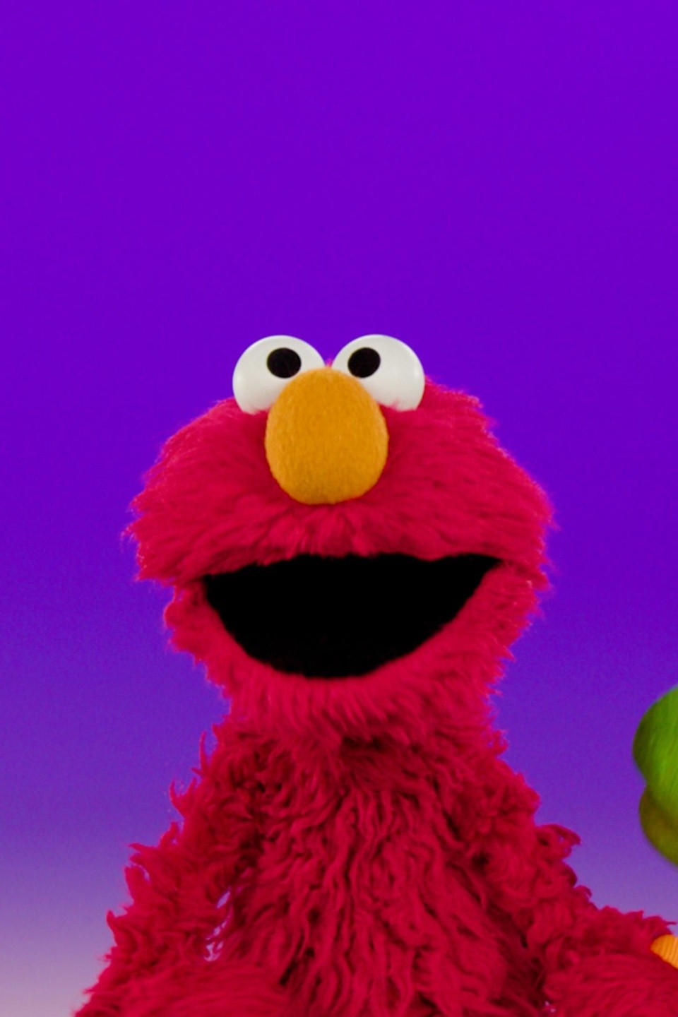 My Elmo: Pets Pictures - Rotten Tomatoes