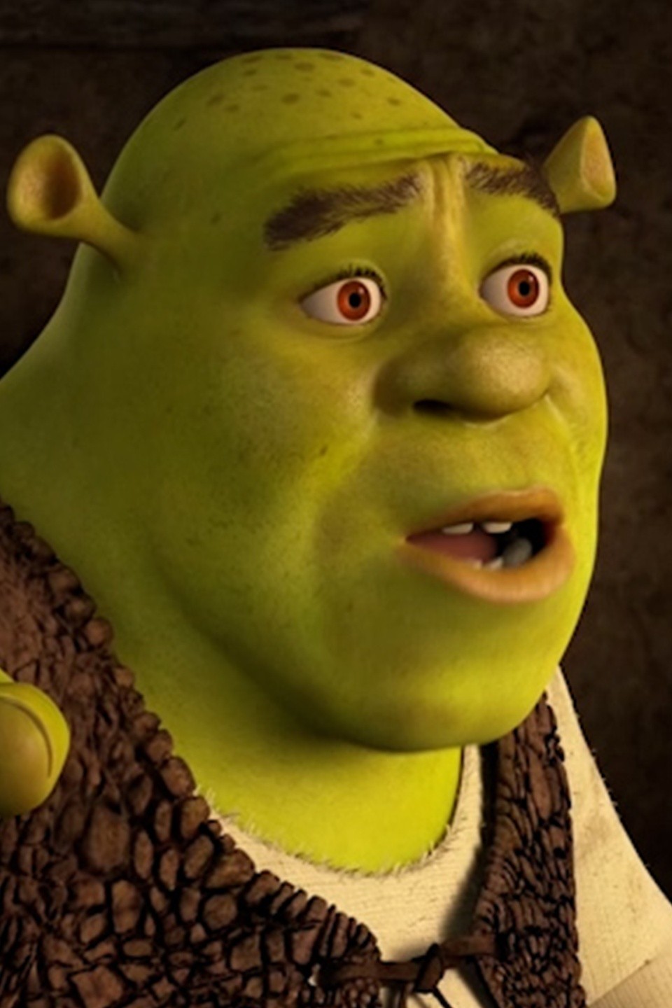 Does Shrek Have Style Pictures | Rotten Tomatoes