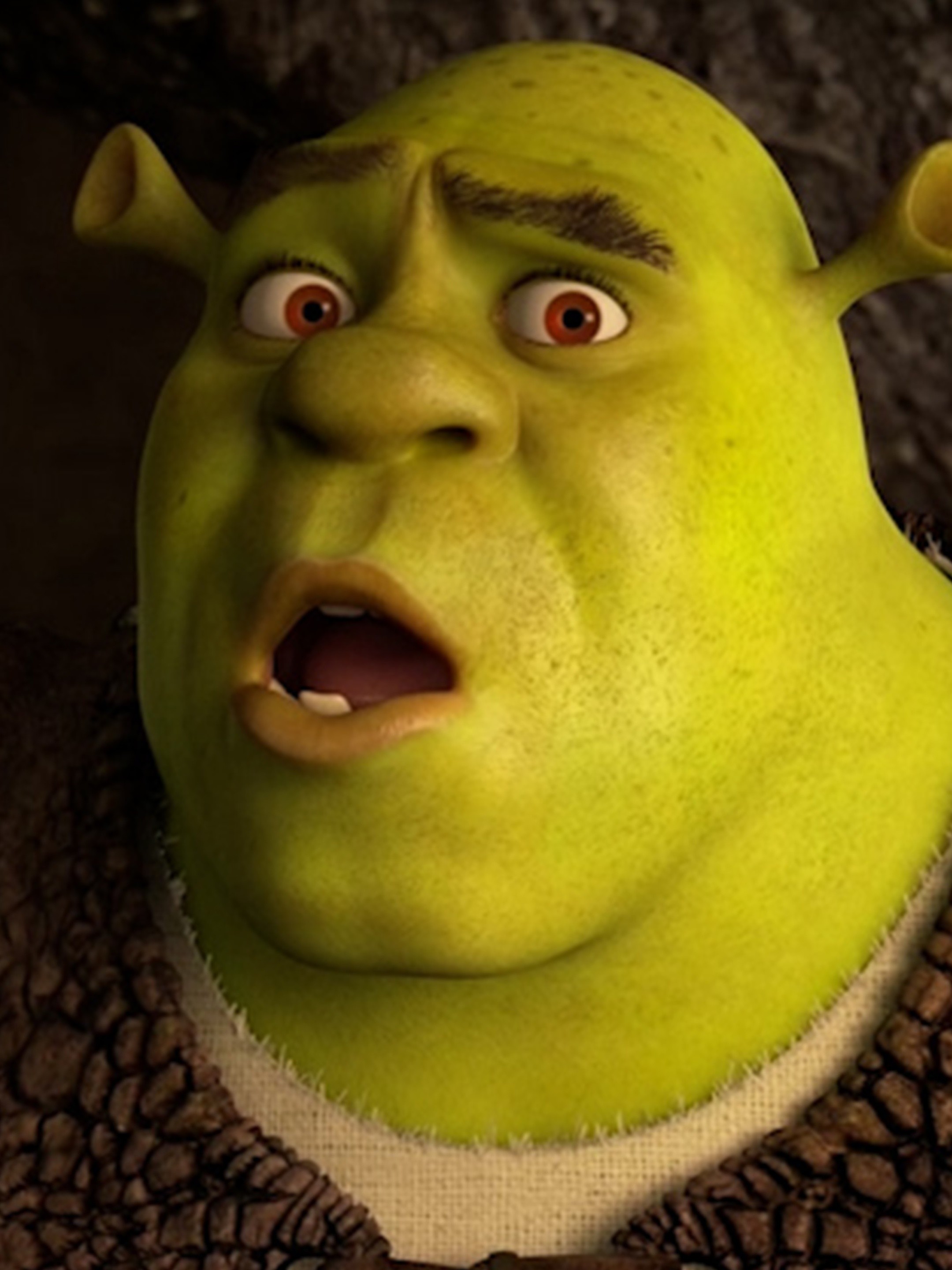 Shrek's 2016 Presidential Endorsement Pictures | Rotten Tomatoes