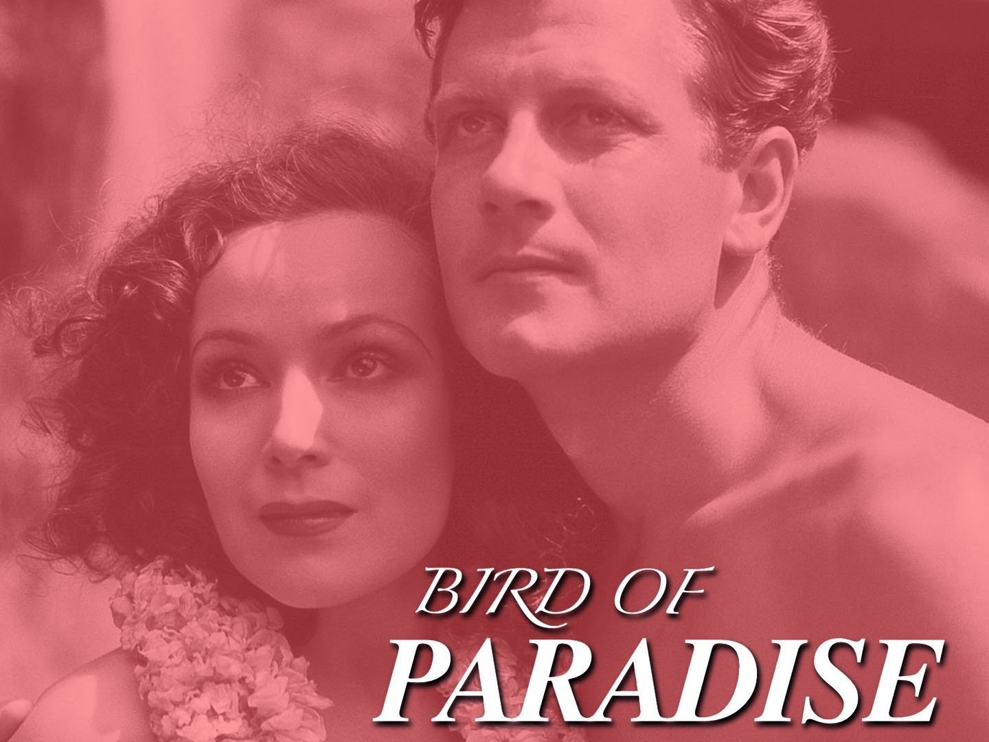 This Side of Paradise - Rotten Tomatoes