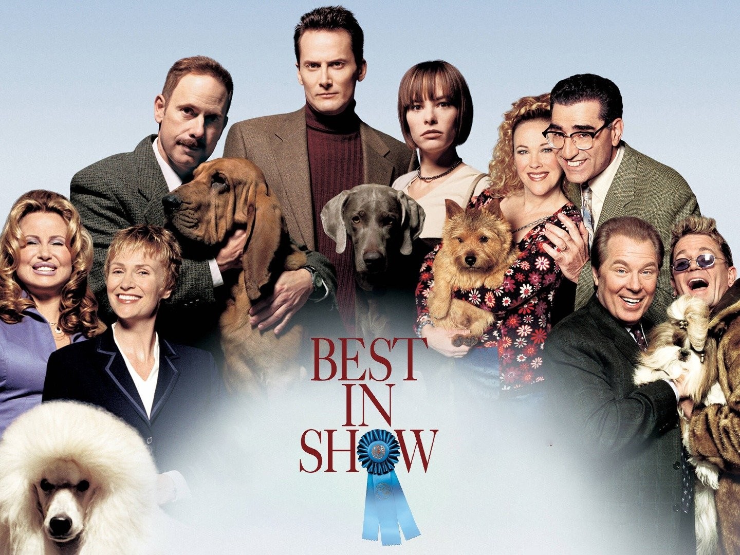 best in show dogs