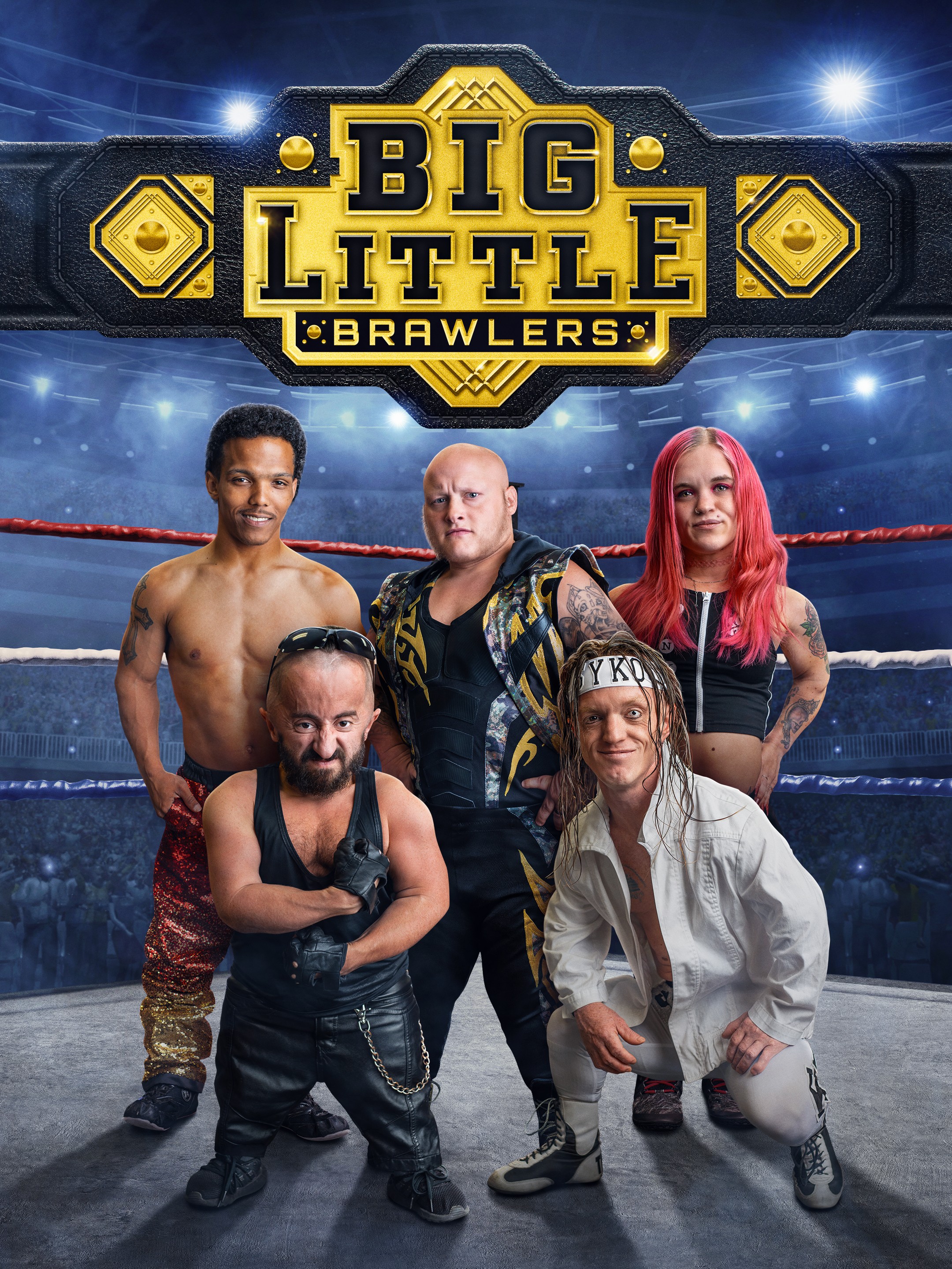 Big Little Brawlers Rotten Tomatoes