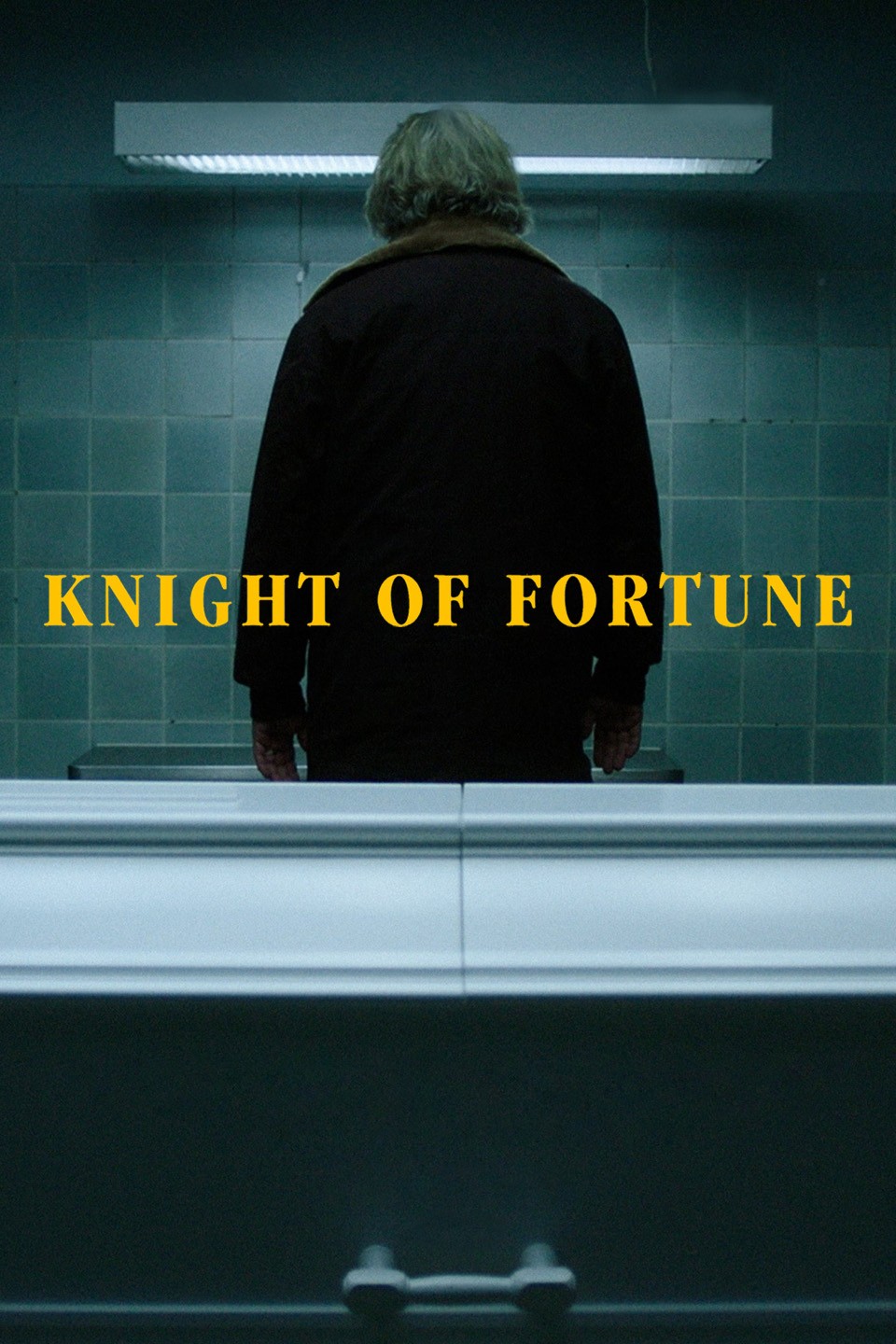Knight of Fortune | Rotten Tomatoes