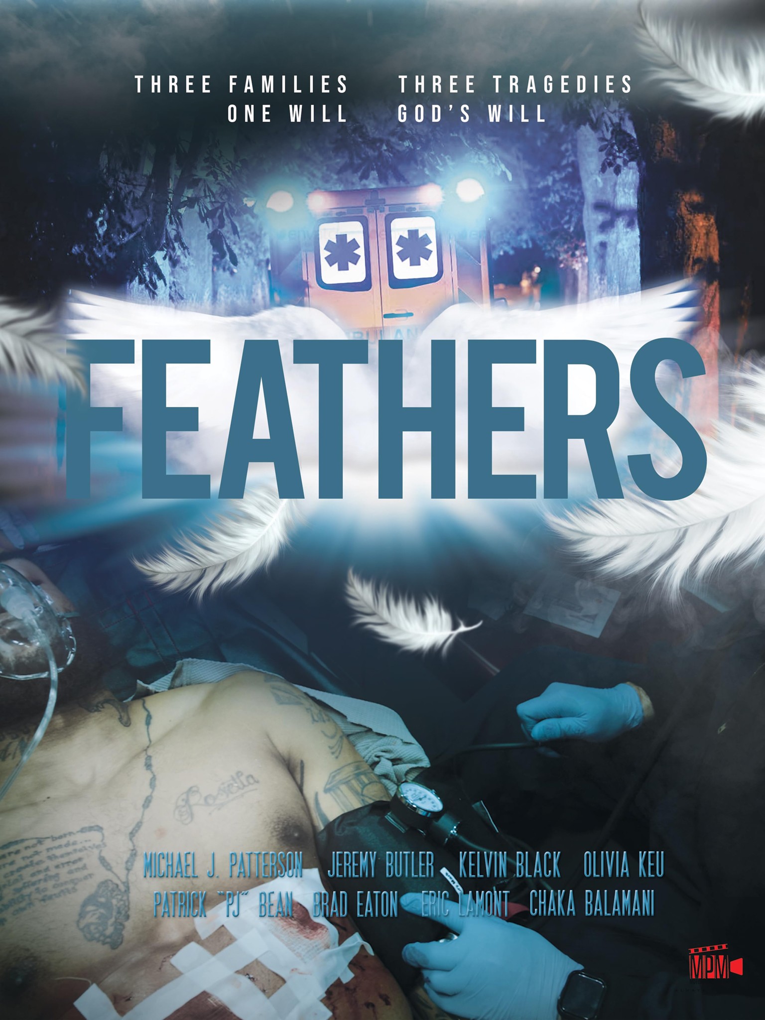 Feathers Rotten Tomatoes 3400