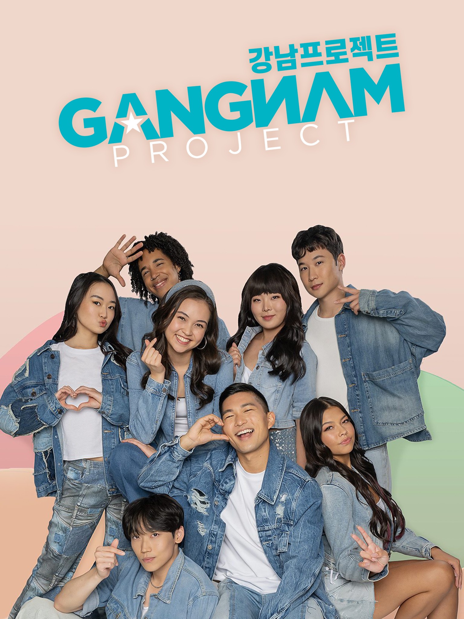 gangnam project