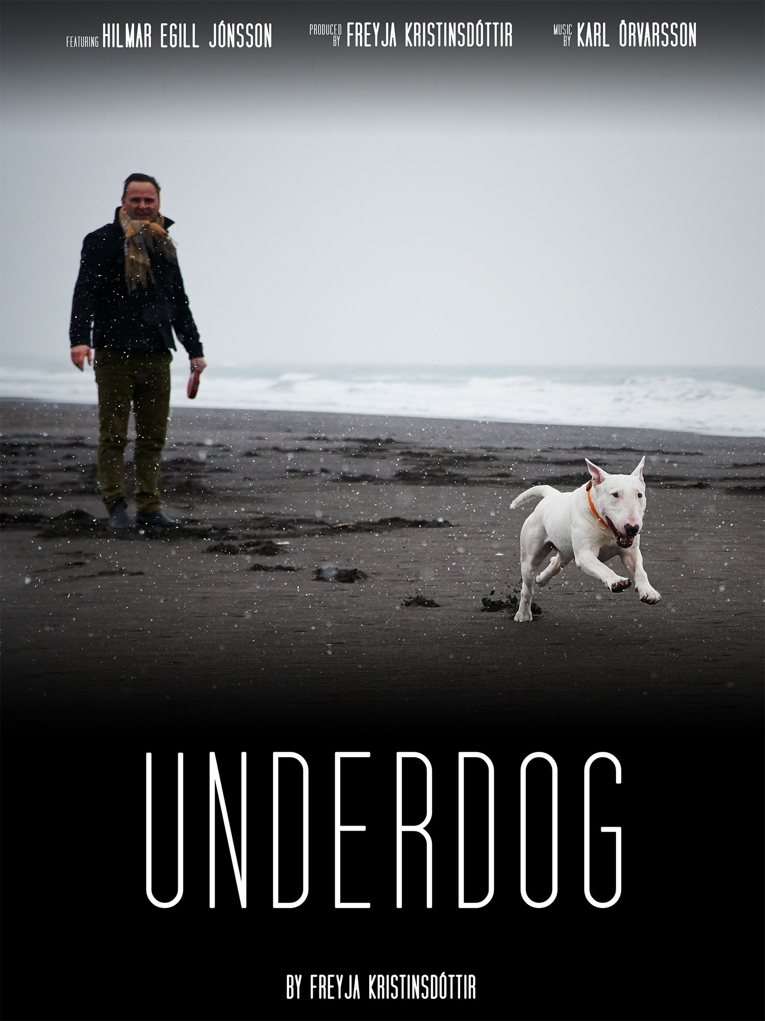 Underdog Pictures | Rotten Tomatoes