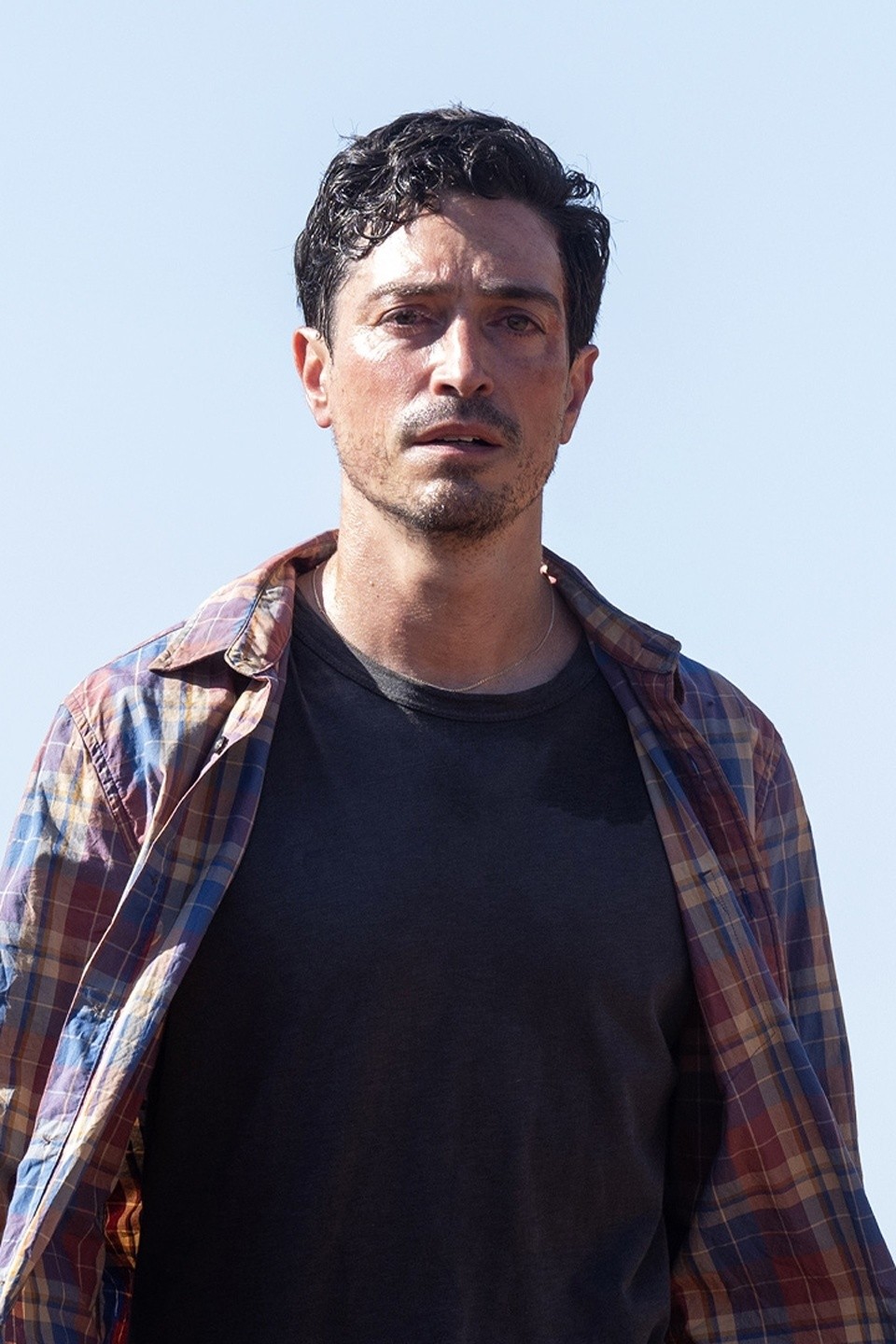 Trivia Night Pictures Rotten Tomatoes