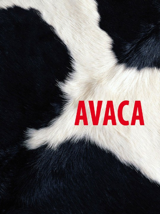 Avaca Pictures | Rotten Tomatoes