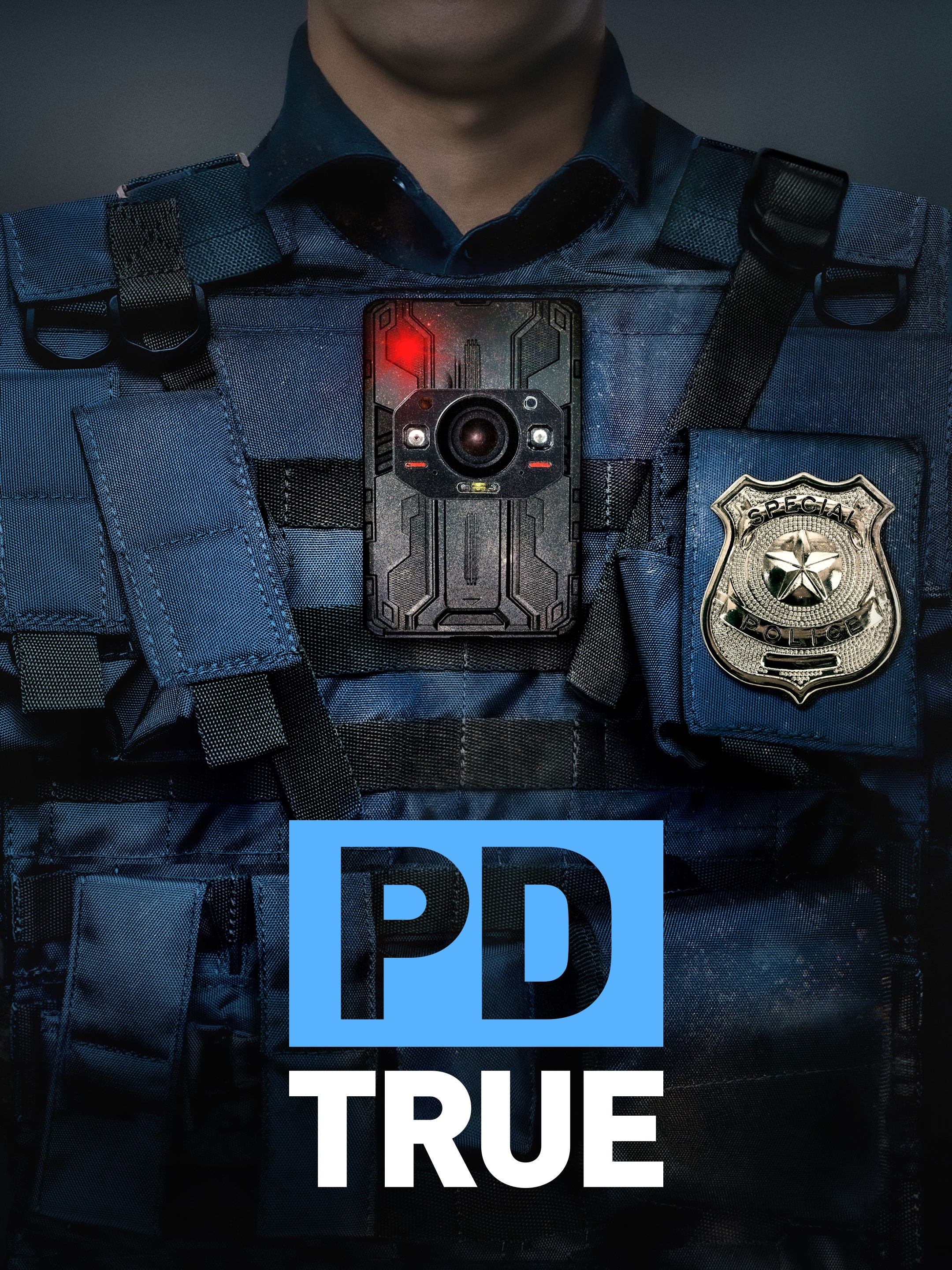 PD True: Season 1 | Rotten Tomatoes