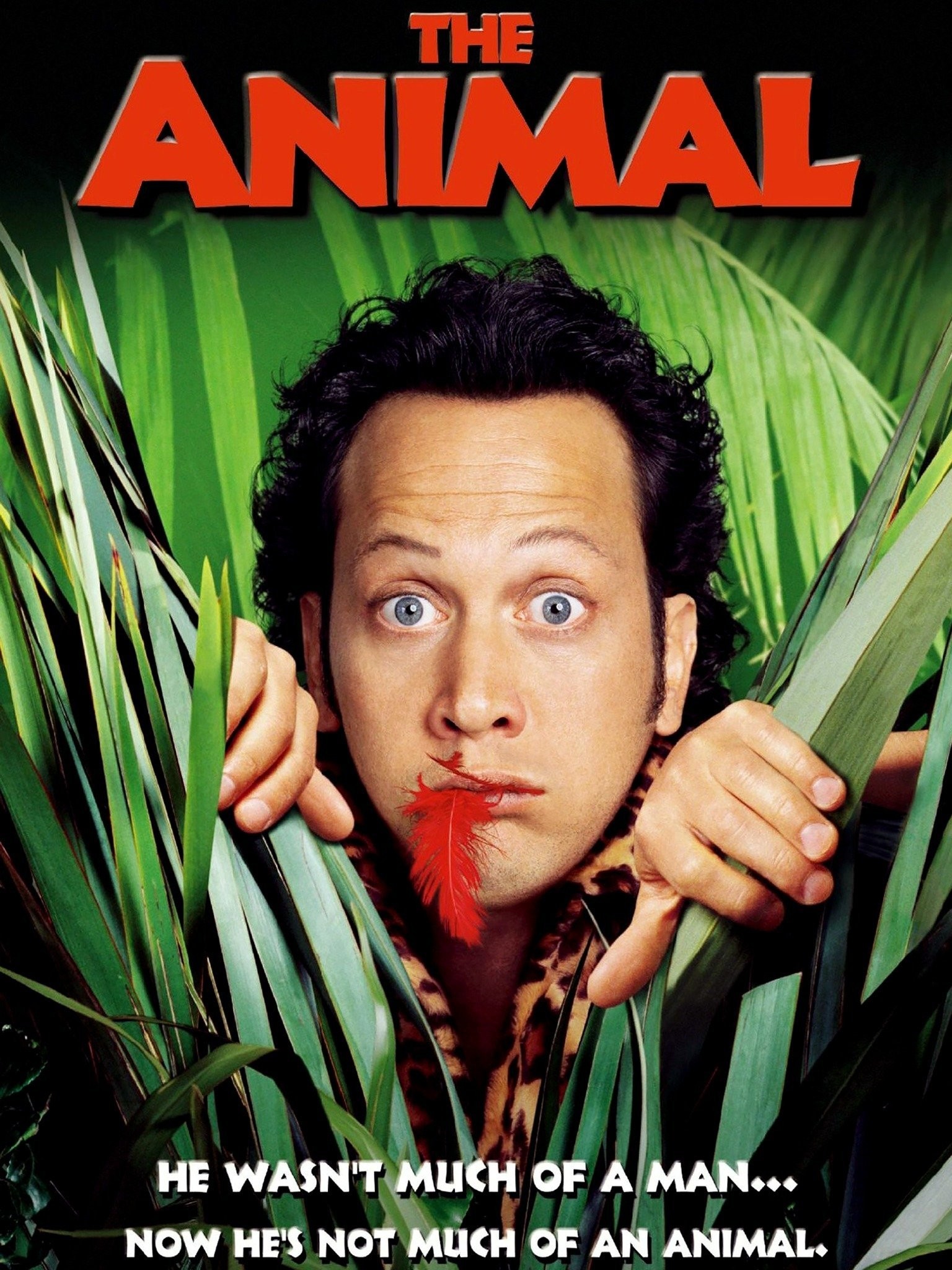 The Animal | Rotten Tomatoes