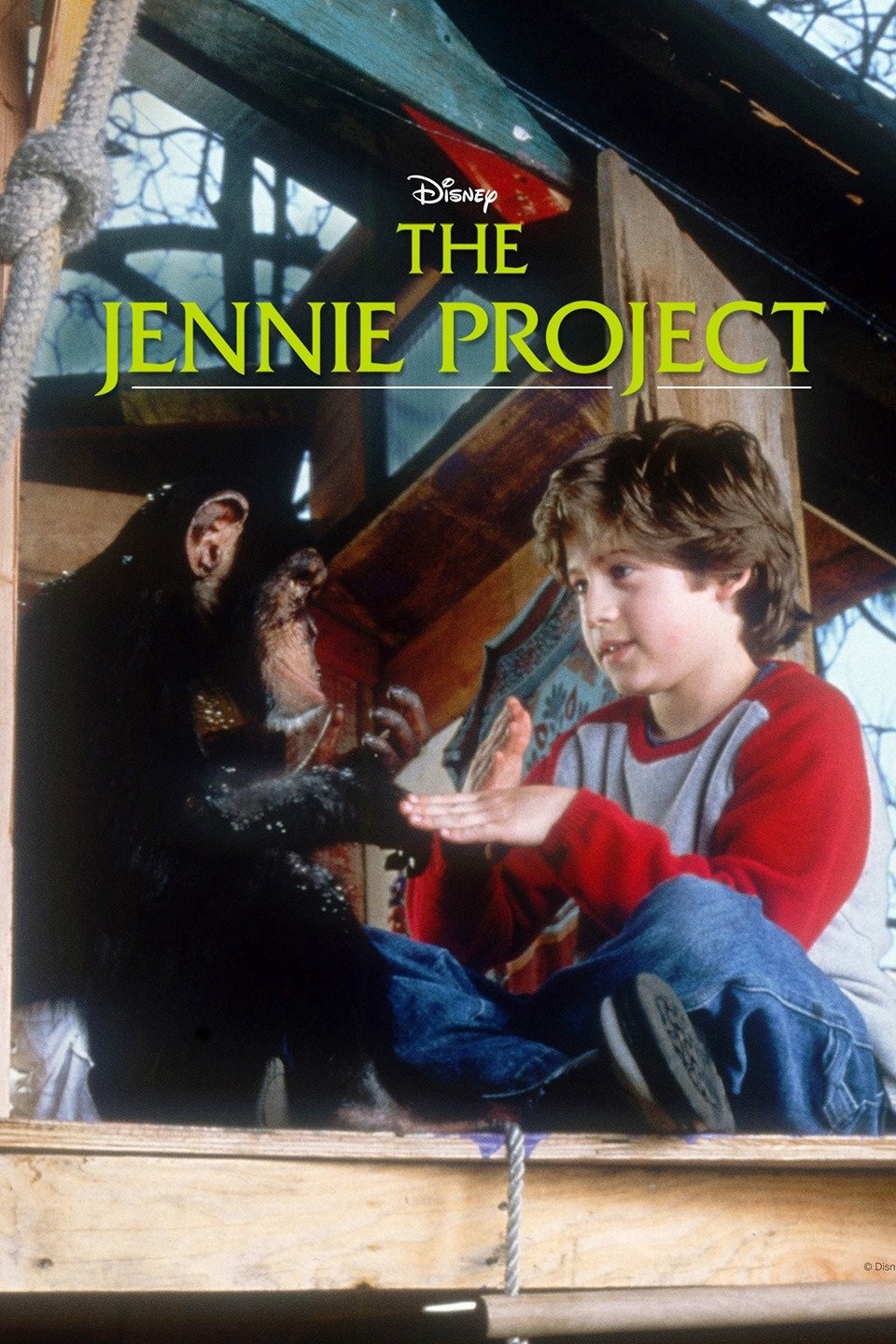 The Jennie Project | Rotten Tomatoes