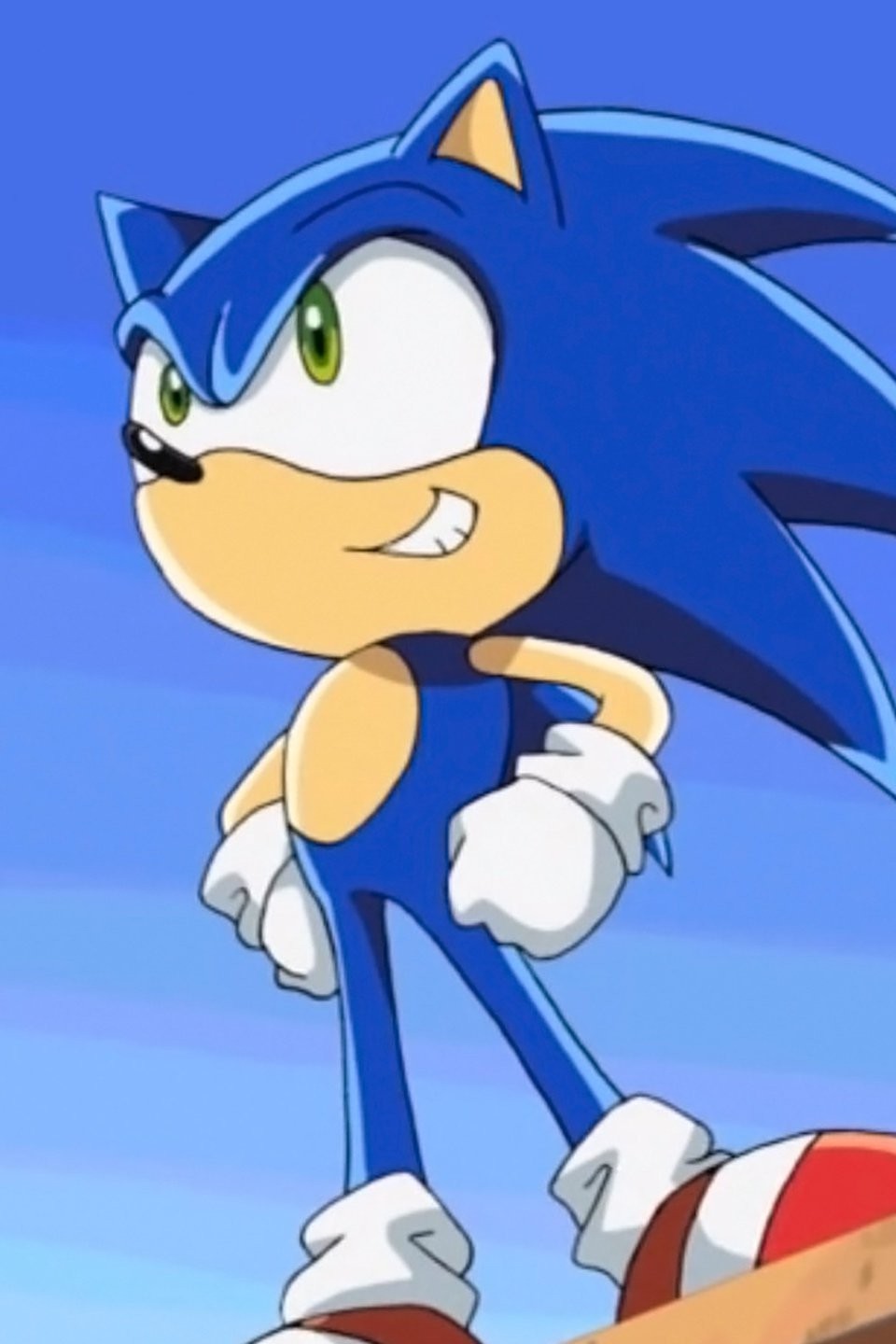 Sonic X: Season 1, Episode 1 - Rotten Tomatoes