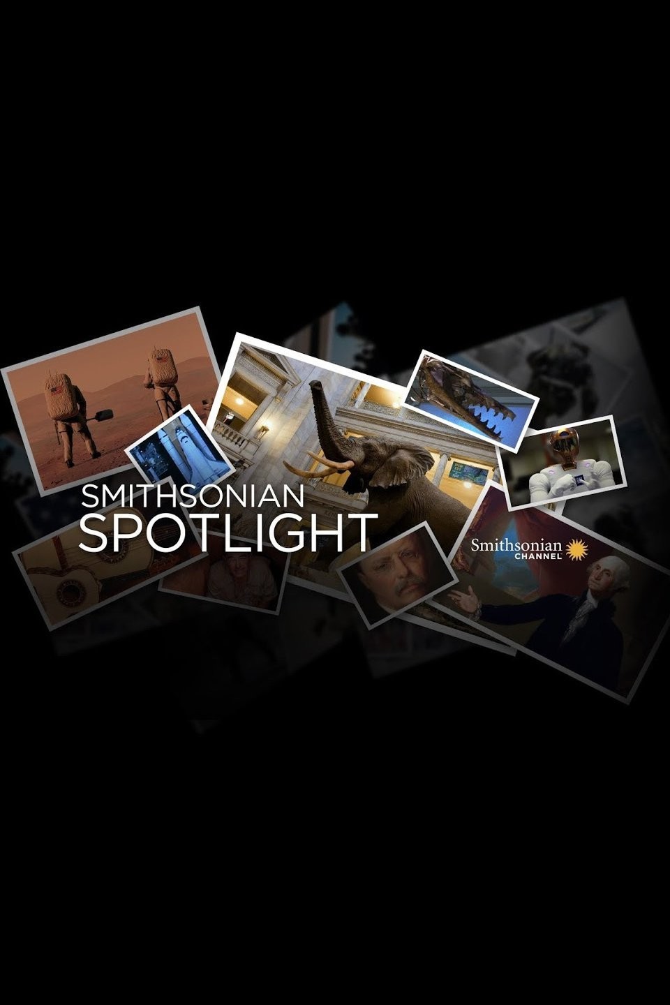 Smithsonian Spotlight Pictures Rotten Tomatoes