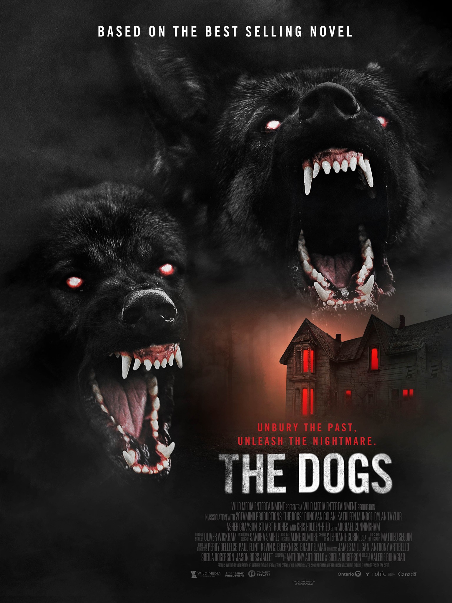 The Dogs | Rotten Tomatoes