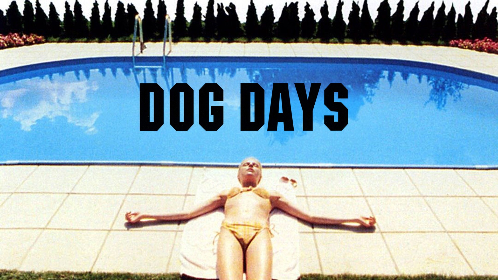 Dog Days - Rotten Tomatoes