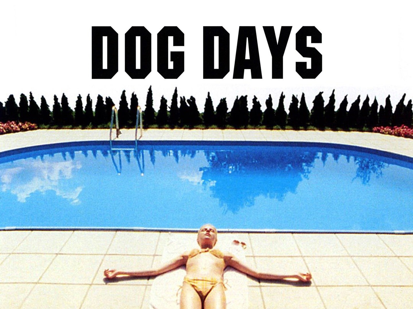 Dog Days - Rotten Tomatoes