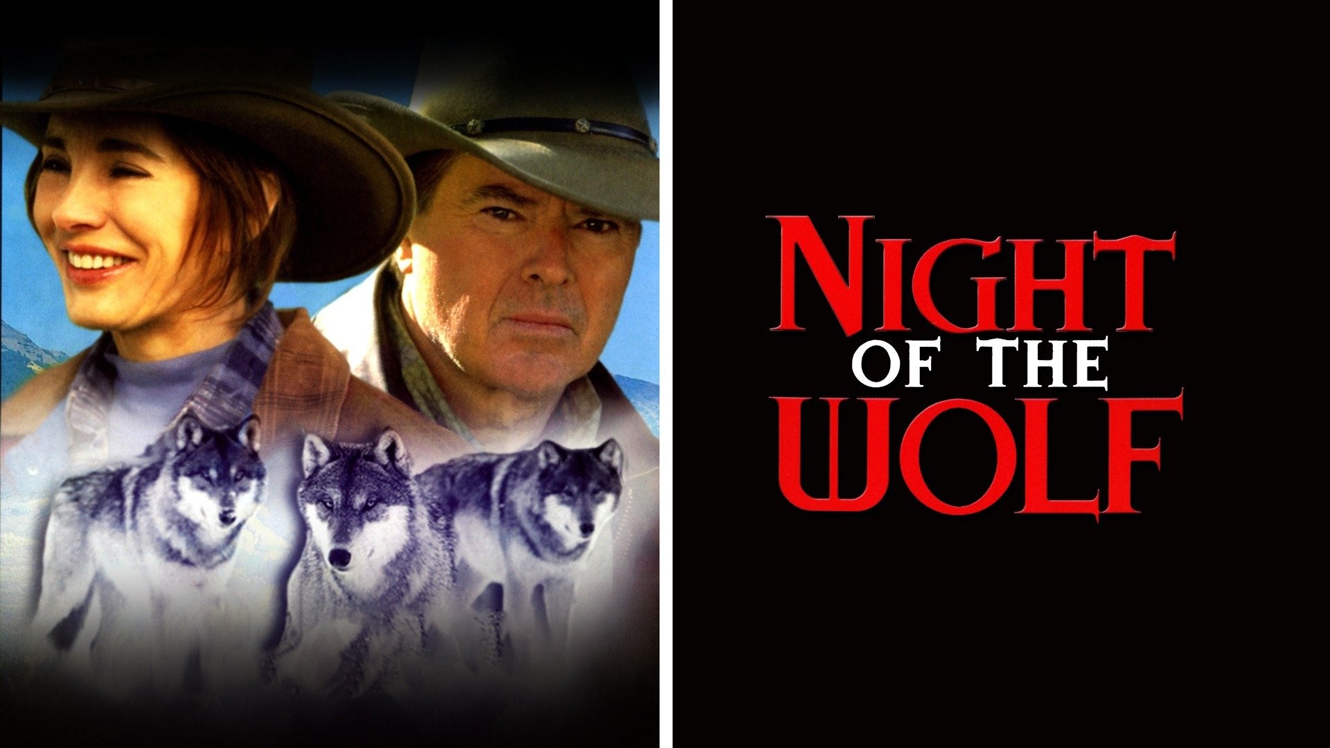 Reviews: Night of the Wolf - IMDb