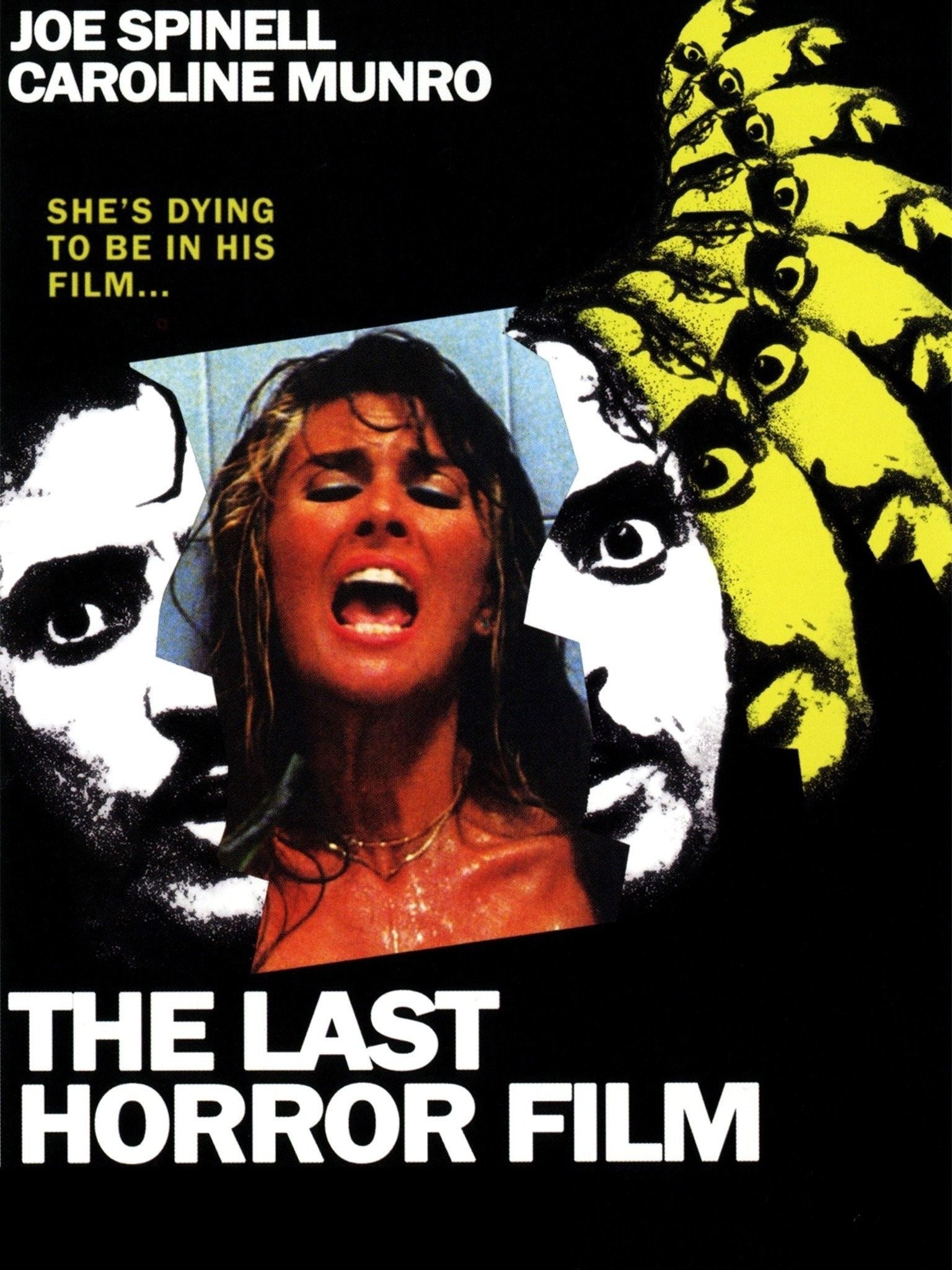 The Last Horror Film | Rotten Tomatoes