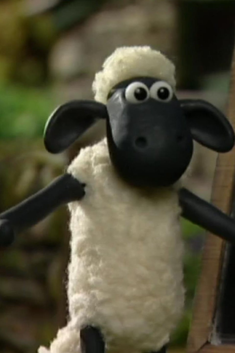 The Kite Pictures Rotten Tomatoes