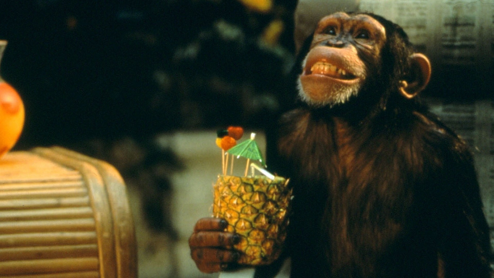 Monkey Grip  Rotten Tomatoes