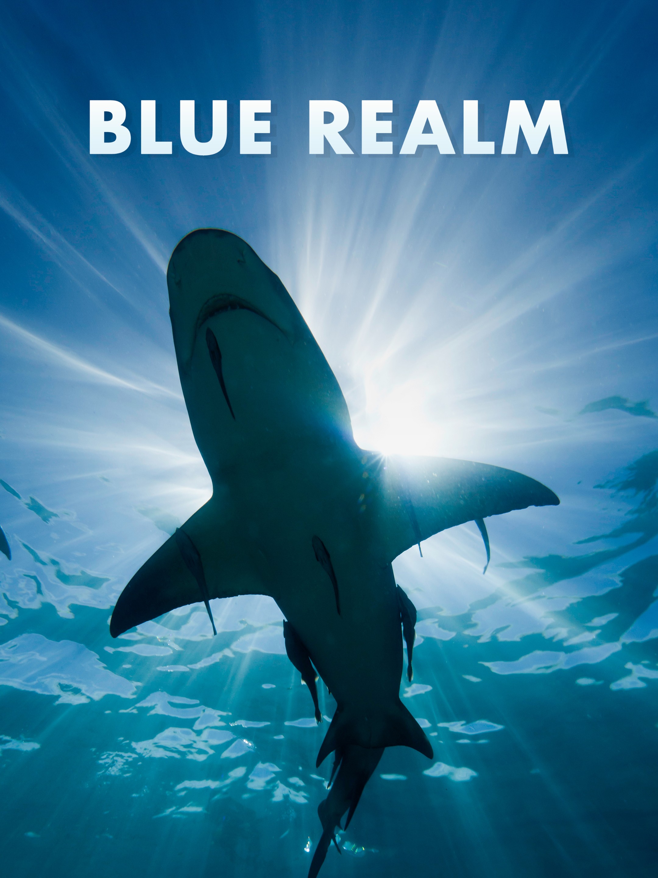 Blue Realm | Rotten Tomatoes