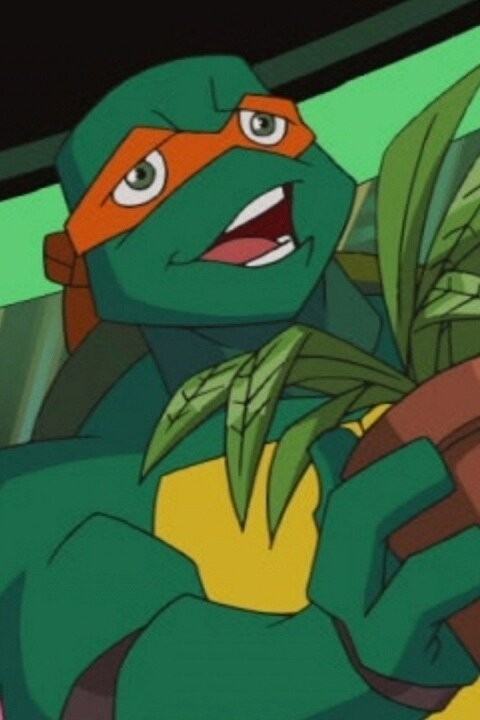 Scootin' Leo - Teenage Mutant Ninja Turtles - Animated - Extreme