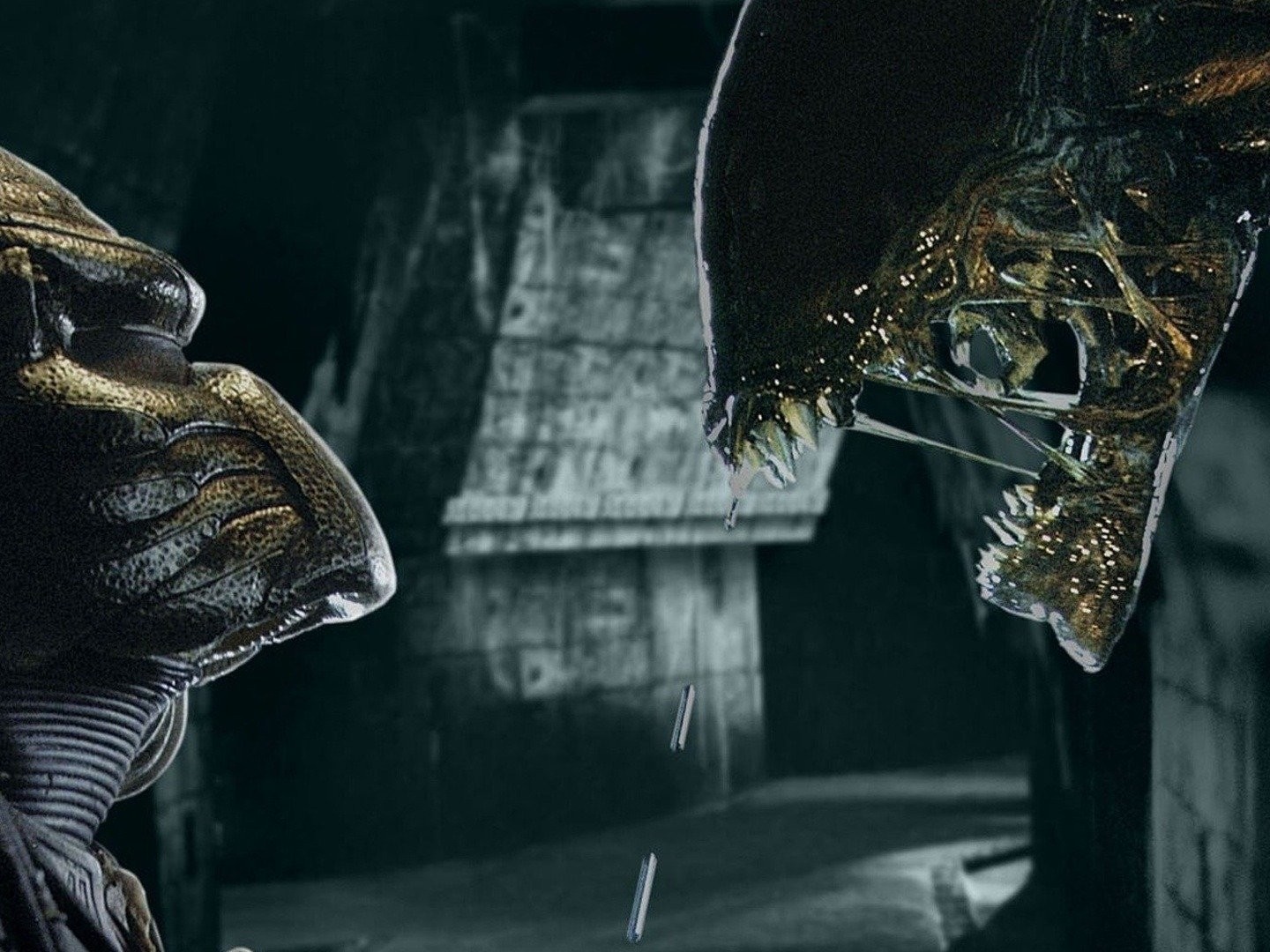 What happened to Alien vs Predator 3? - Dexerto